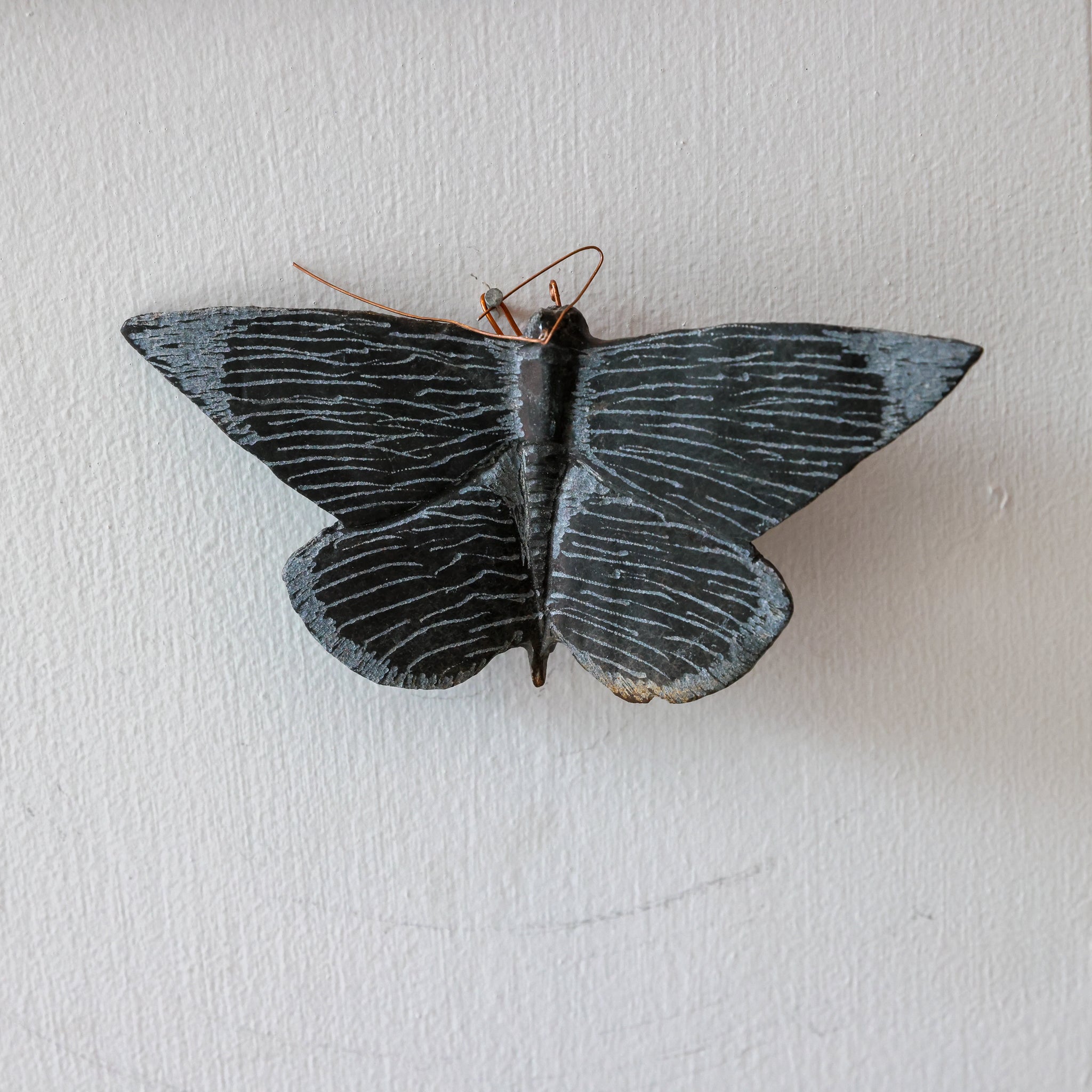 Stone Moths