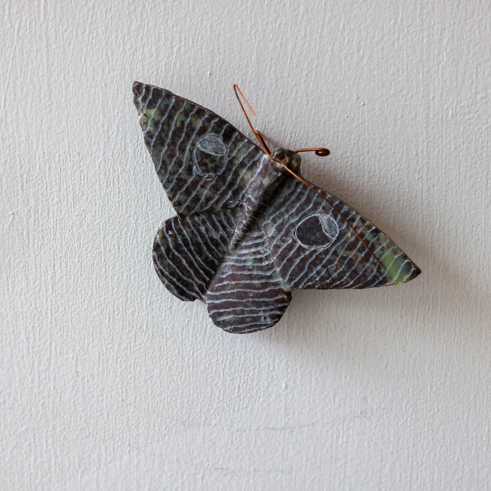 Stone Moths