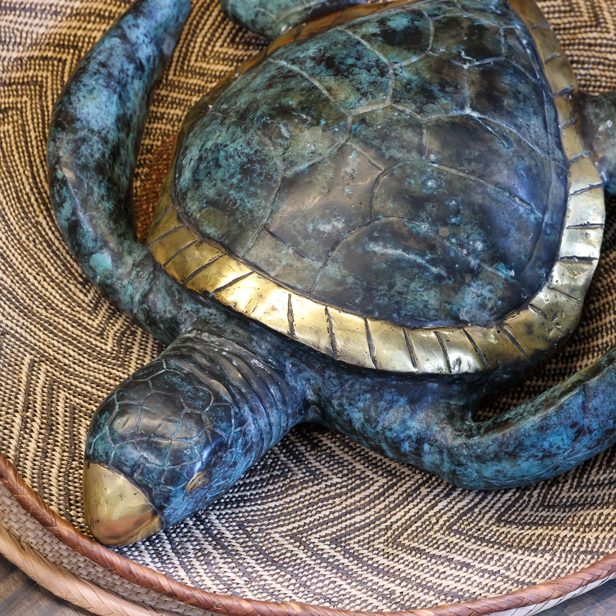 Bronze Turtle