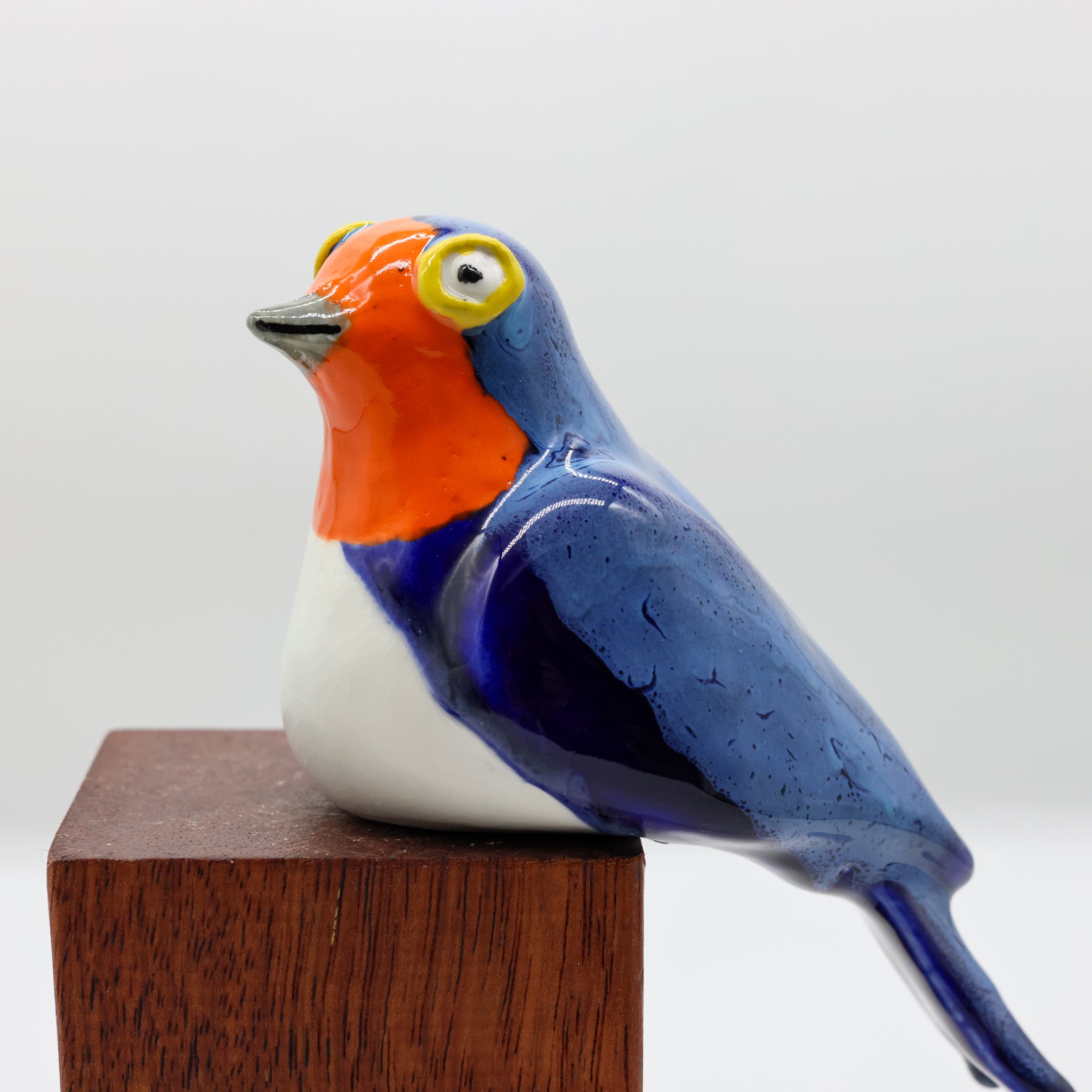 Warou | Welcome Swallow