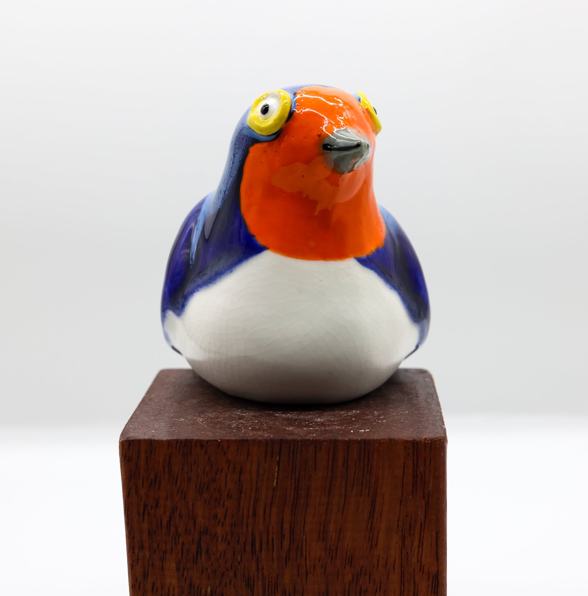 Warou | Welcome Swallow