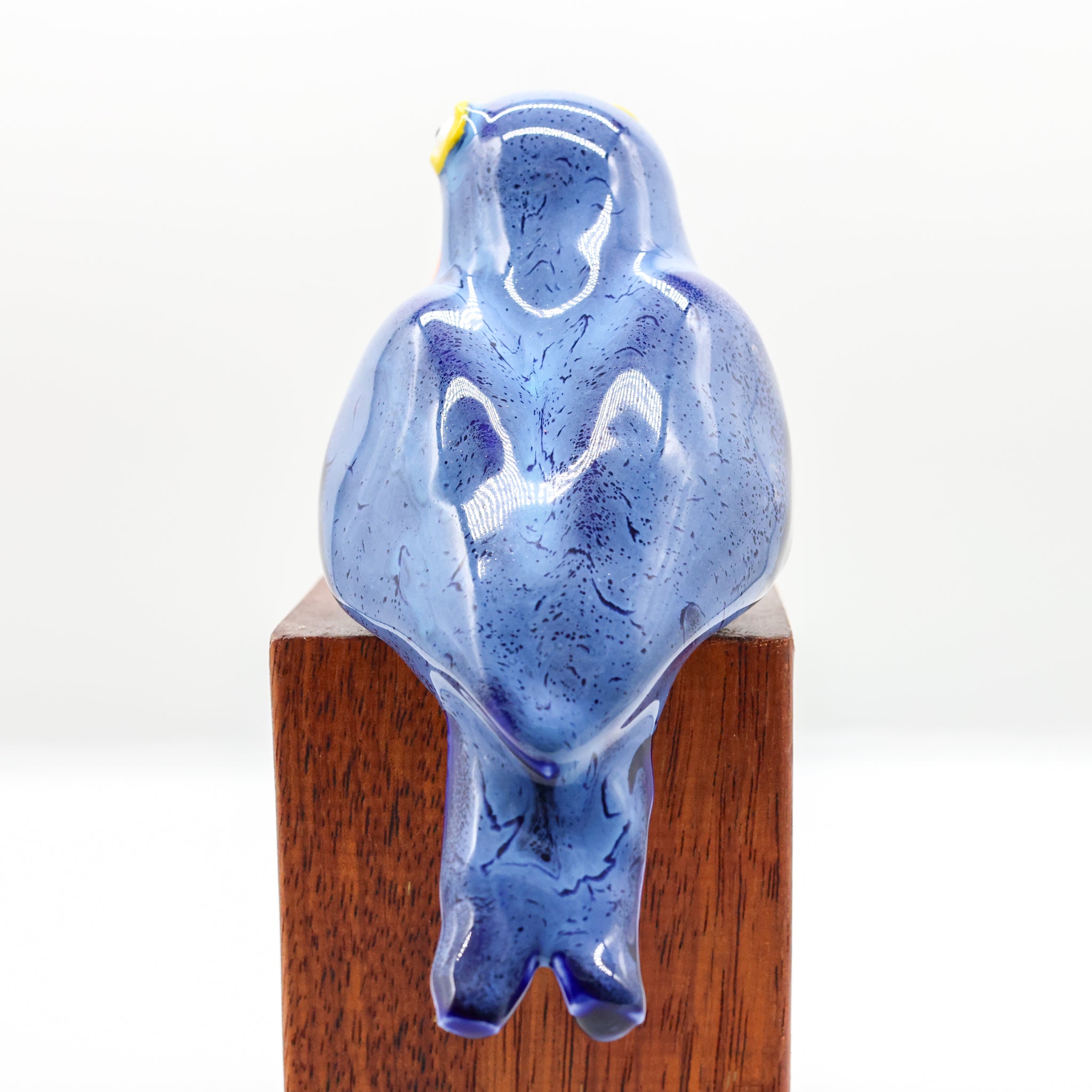 Warou | Welcome Swallow