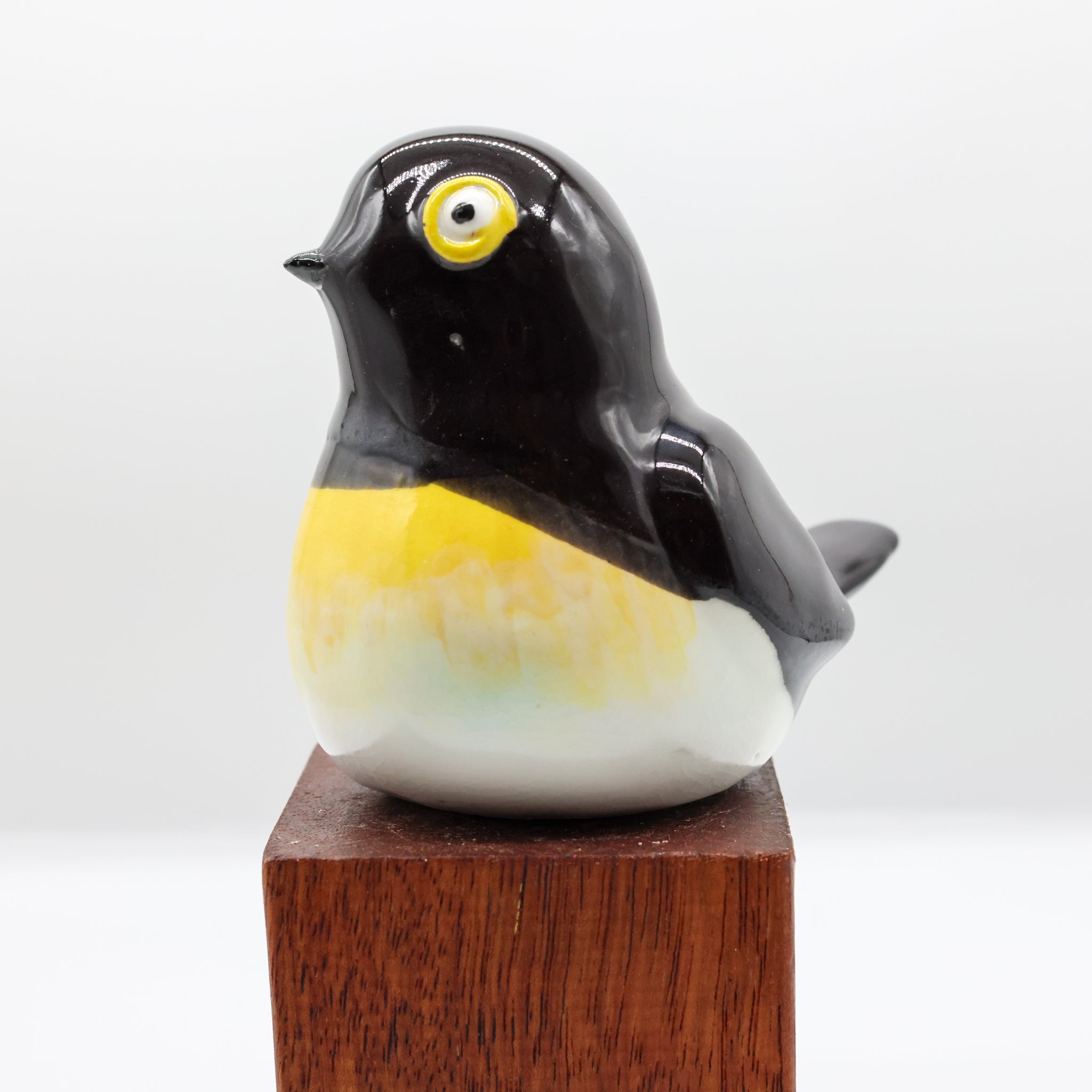 Miromiro | Tomtit