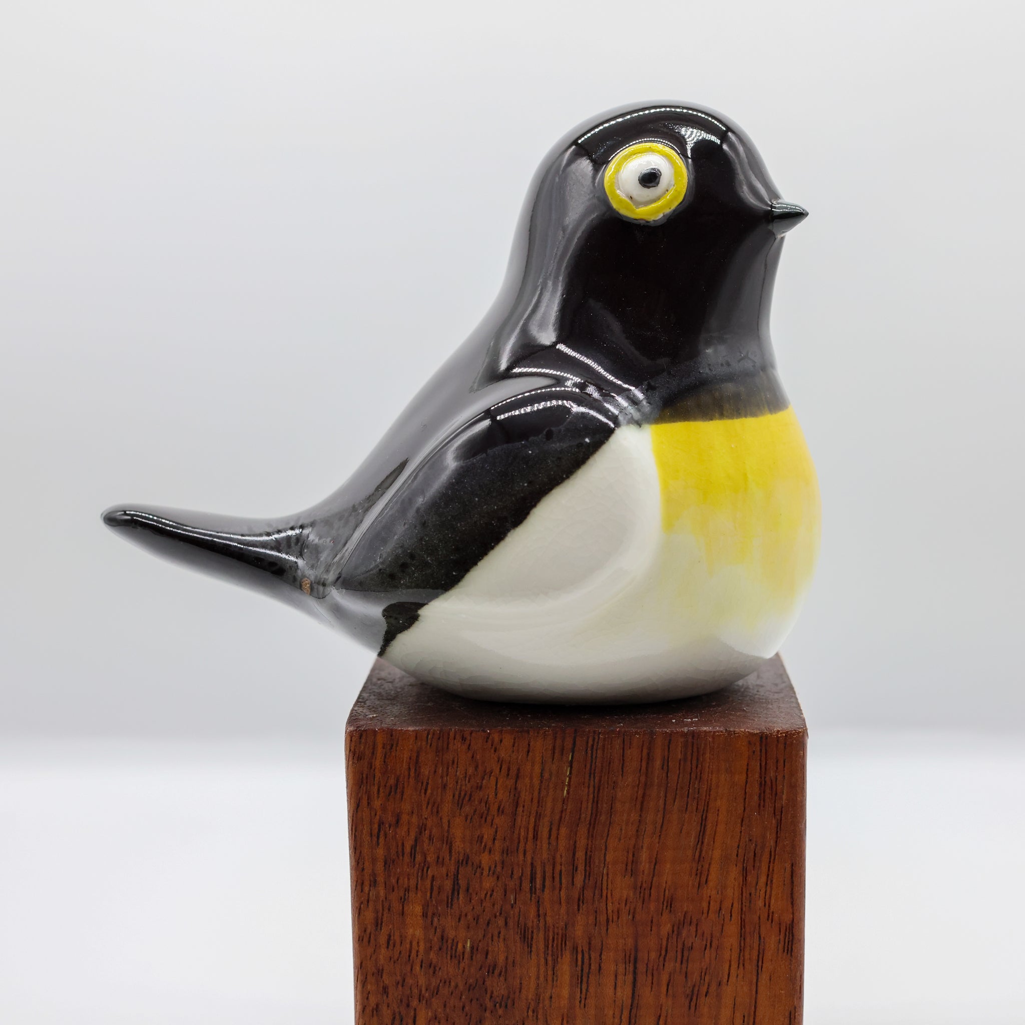 Miromiro | Tomtit