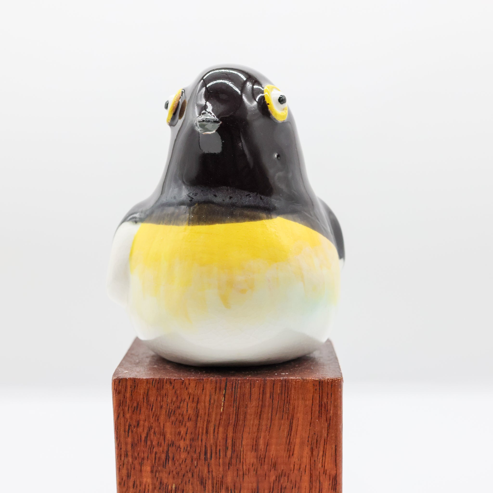 Miromiro | Tomtit