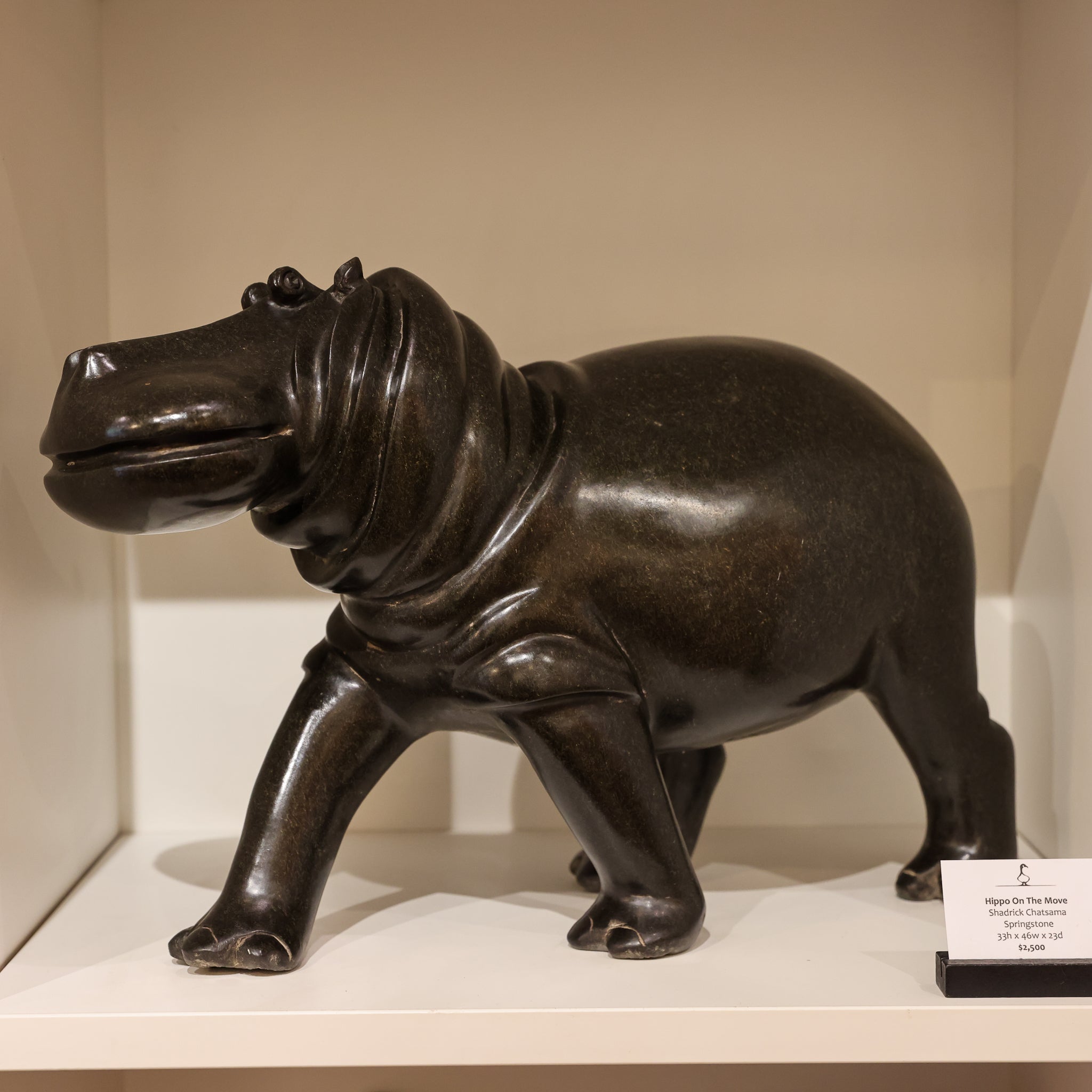Hippo On The Move