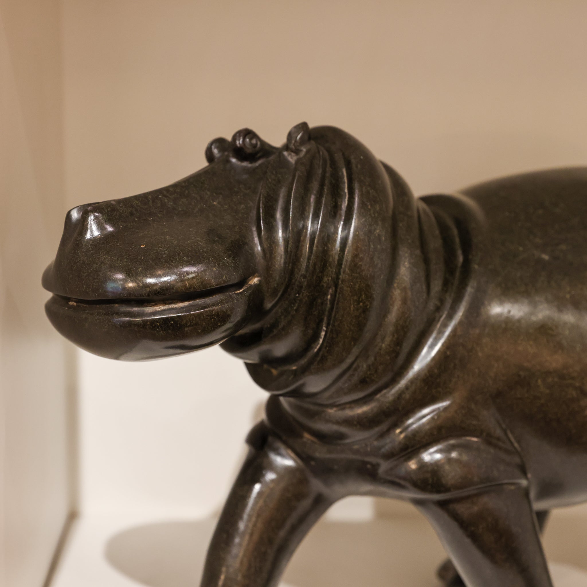 Hippo On The Move
