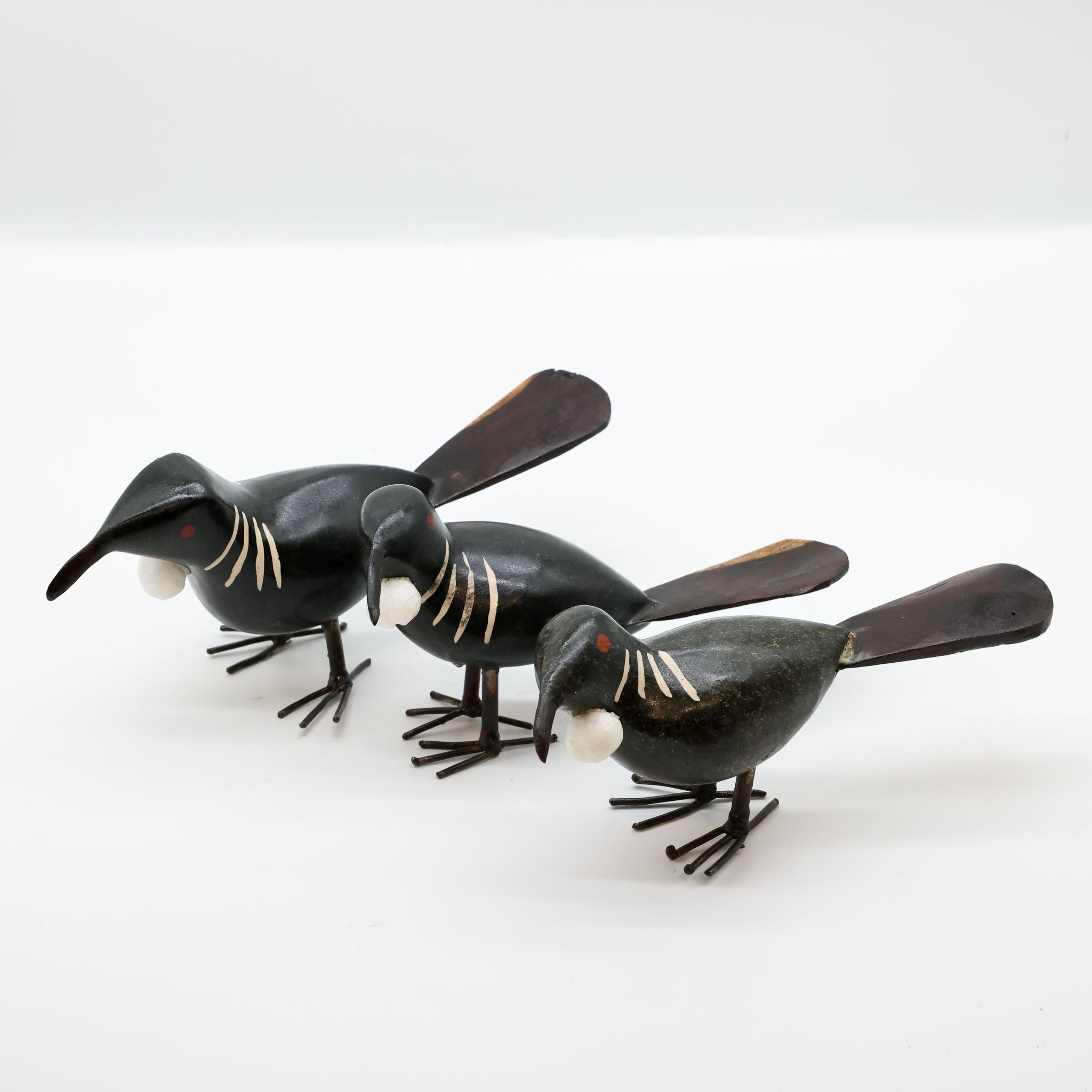 Tūī