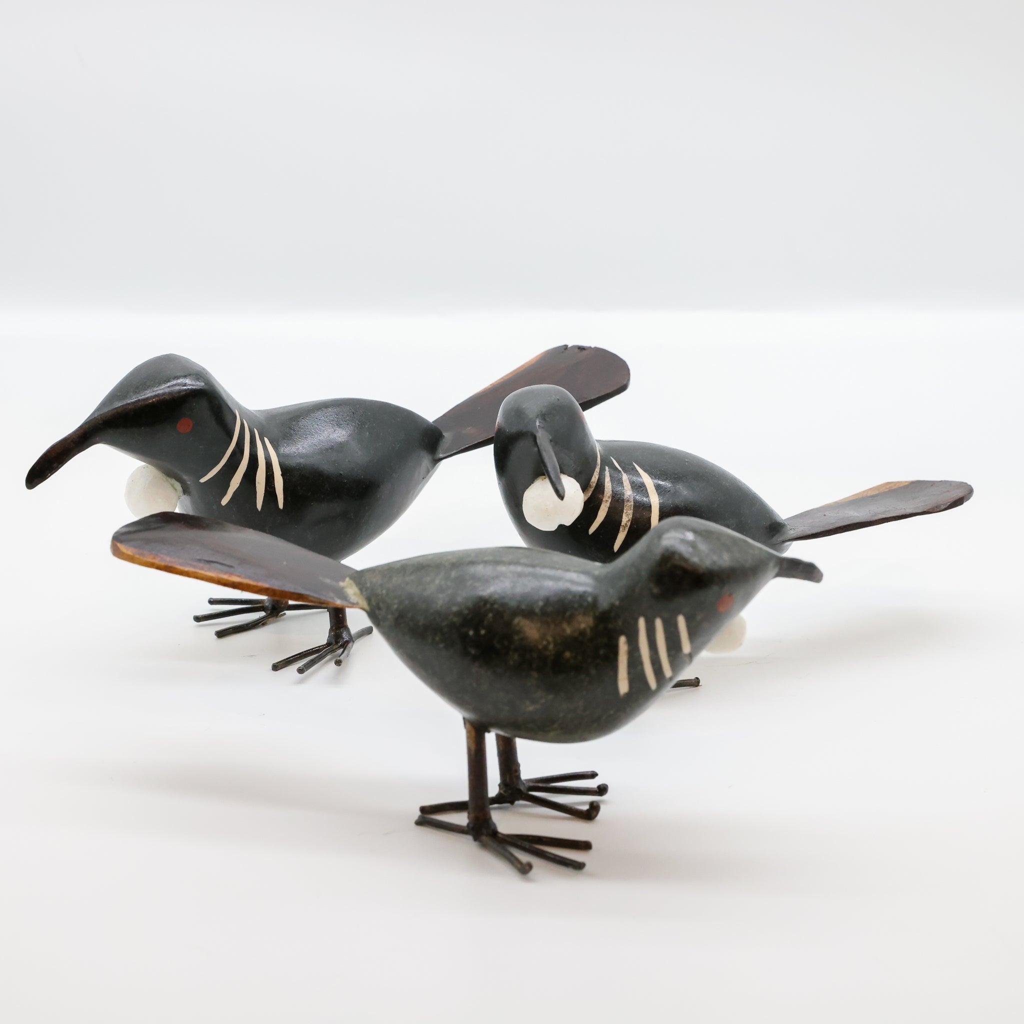 Tūī