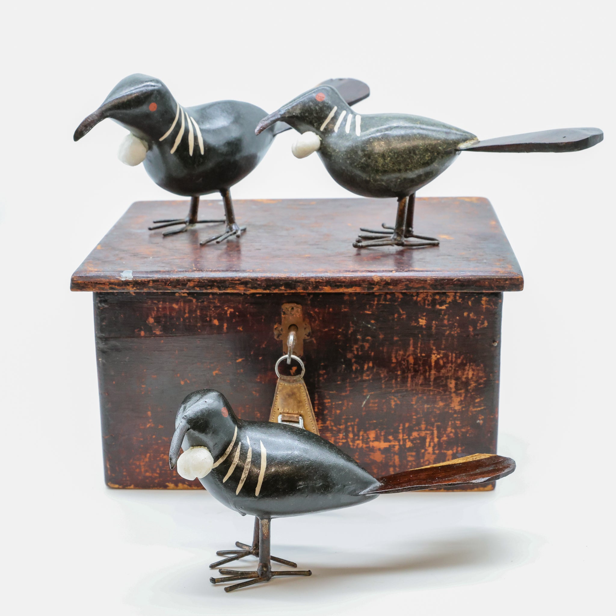 Tūī