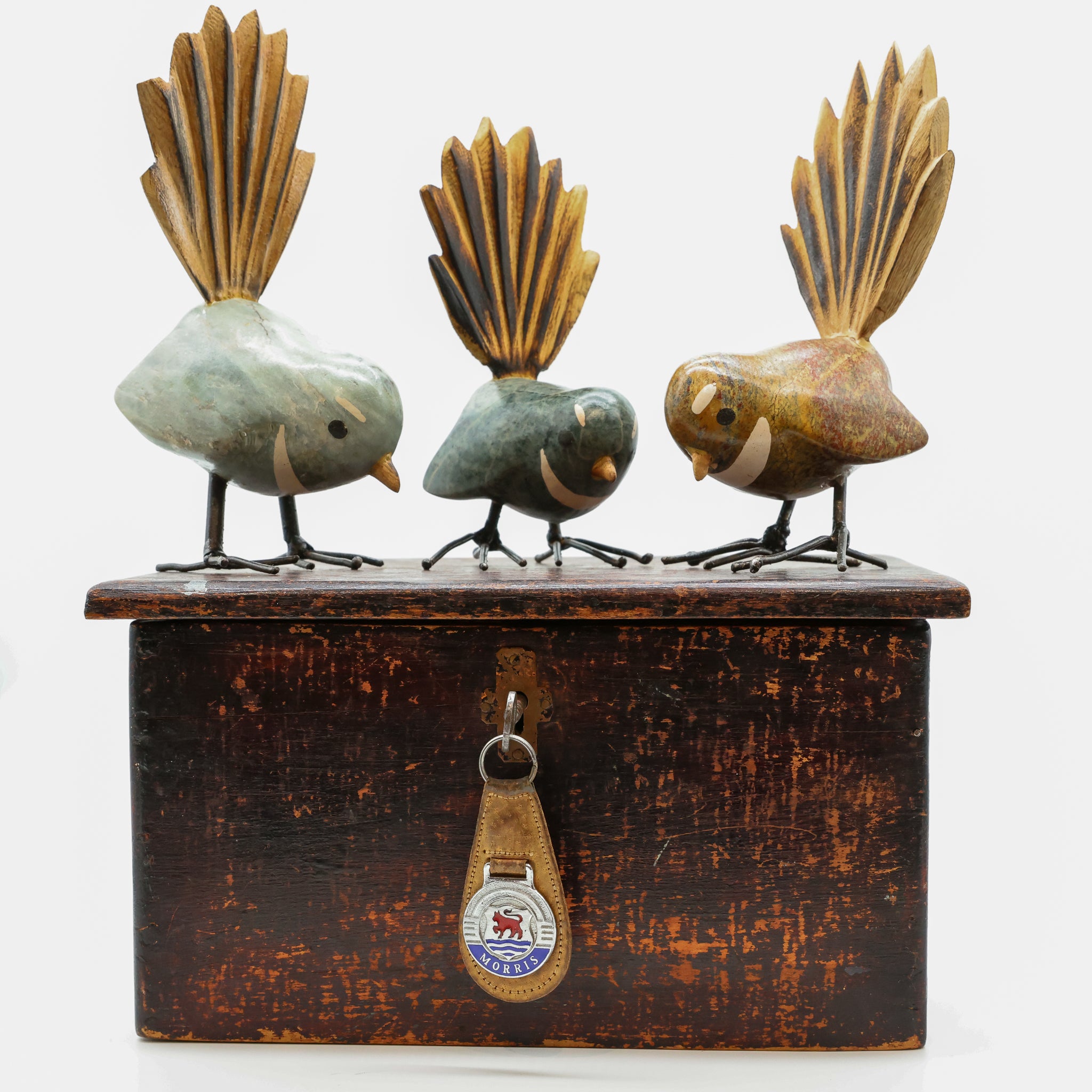 Pīwakawaka | Fantail
