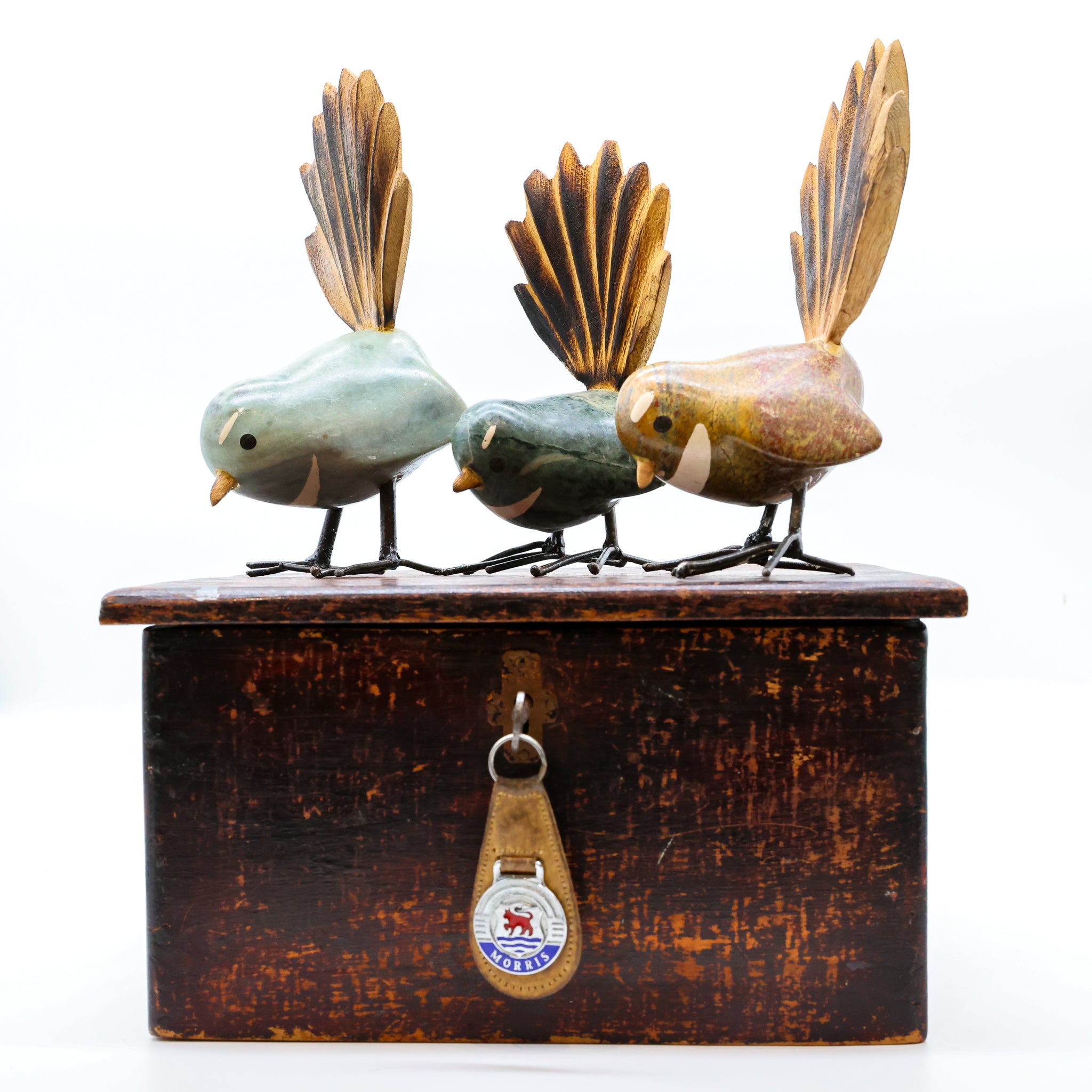 Pīwakawaka | Fantail