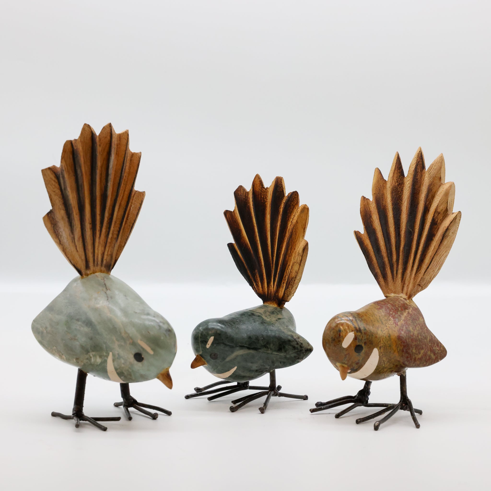 Pīwakawaka | Fantail