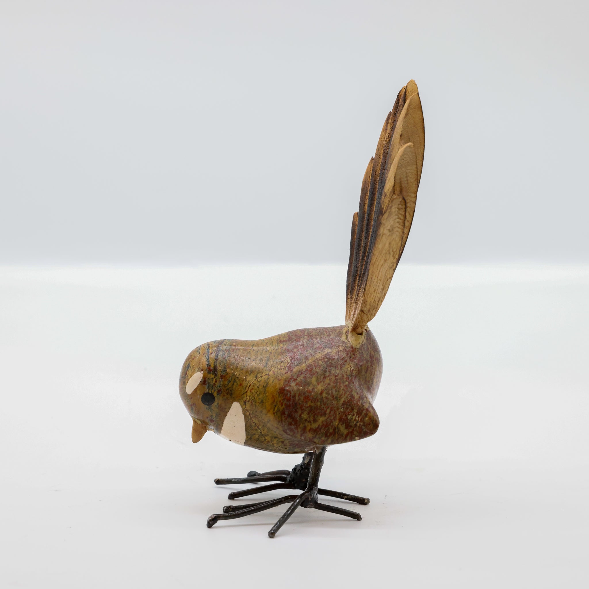 Pīwakawaka | Fantail