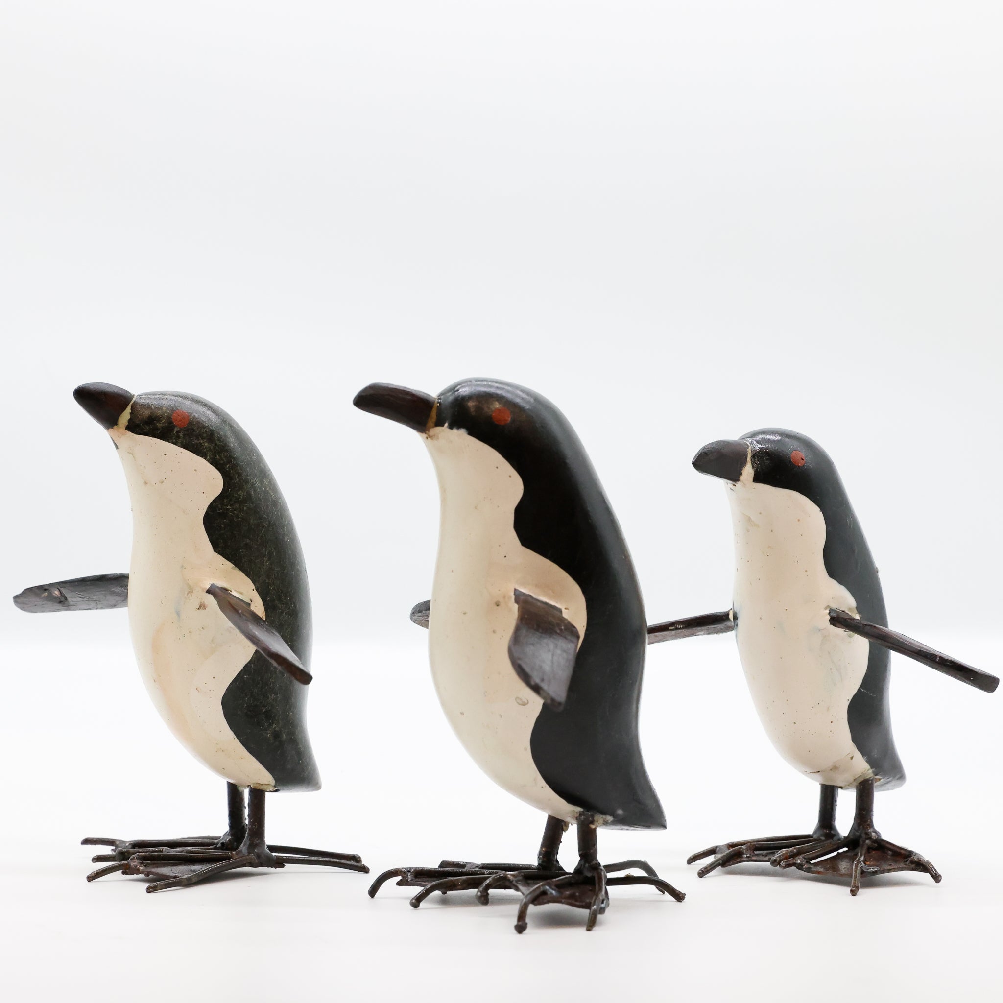 Kororā | Little Blue Penguin