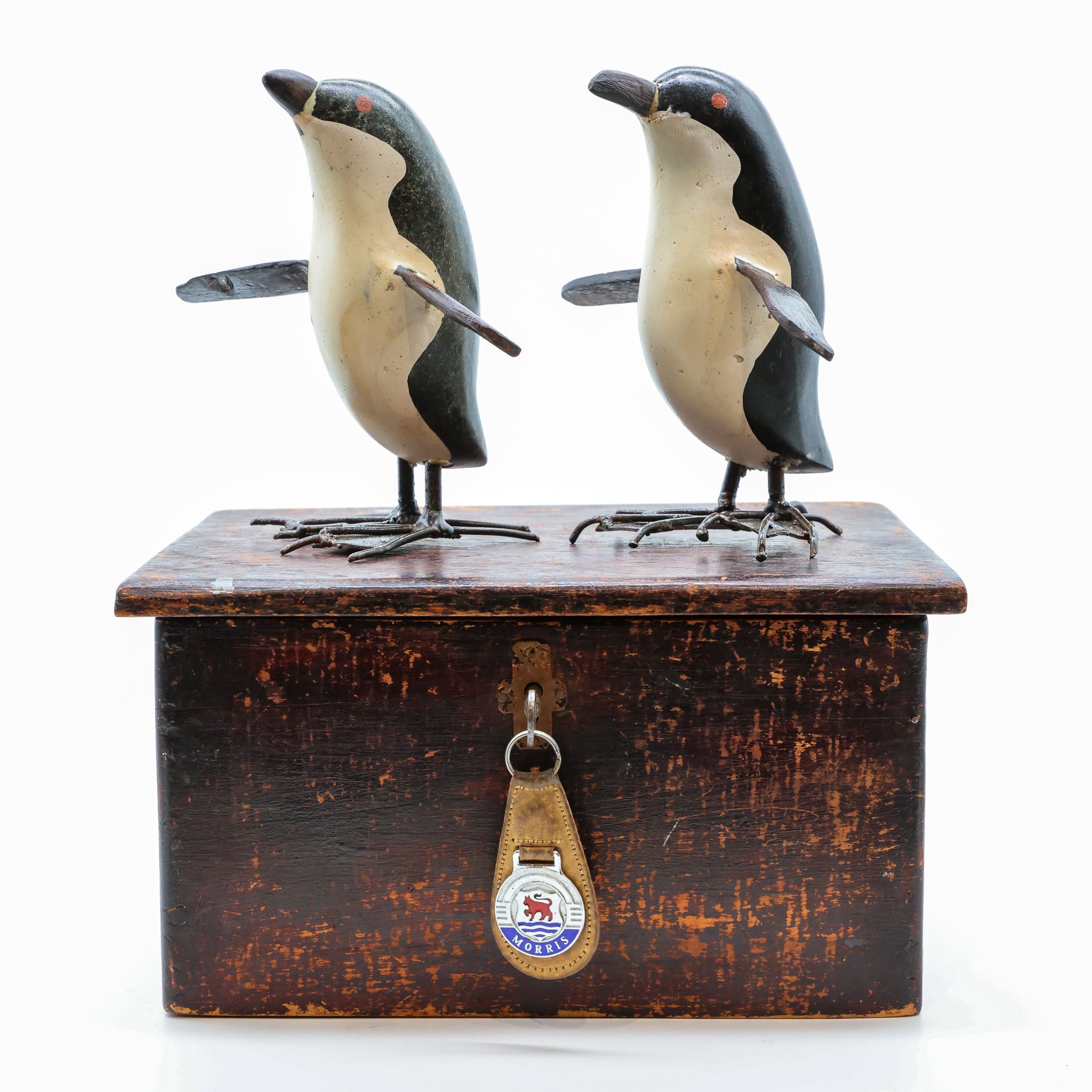 Kororā | Little Blue Penguin