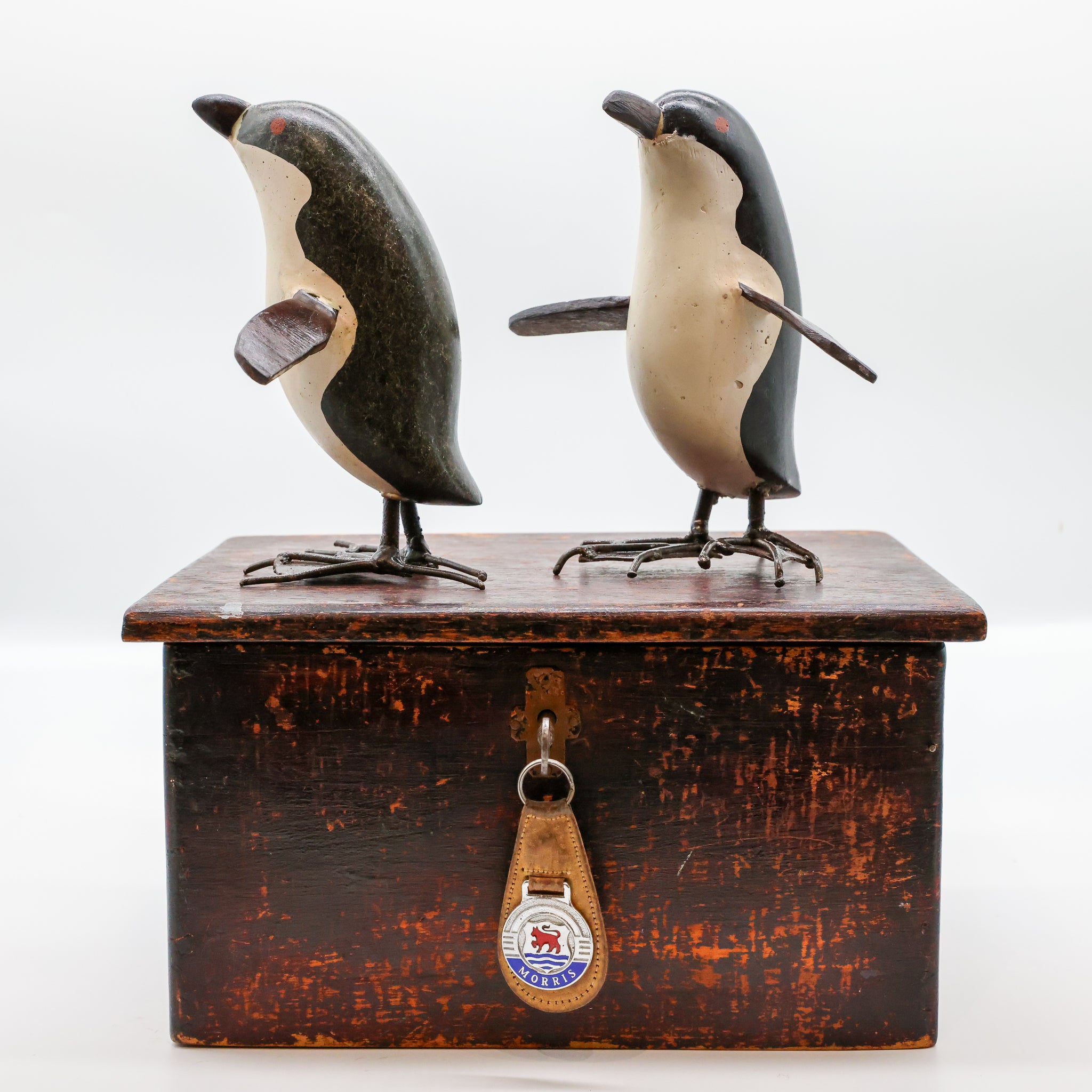 Kororā | Little Blue Penguin