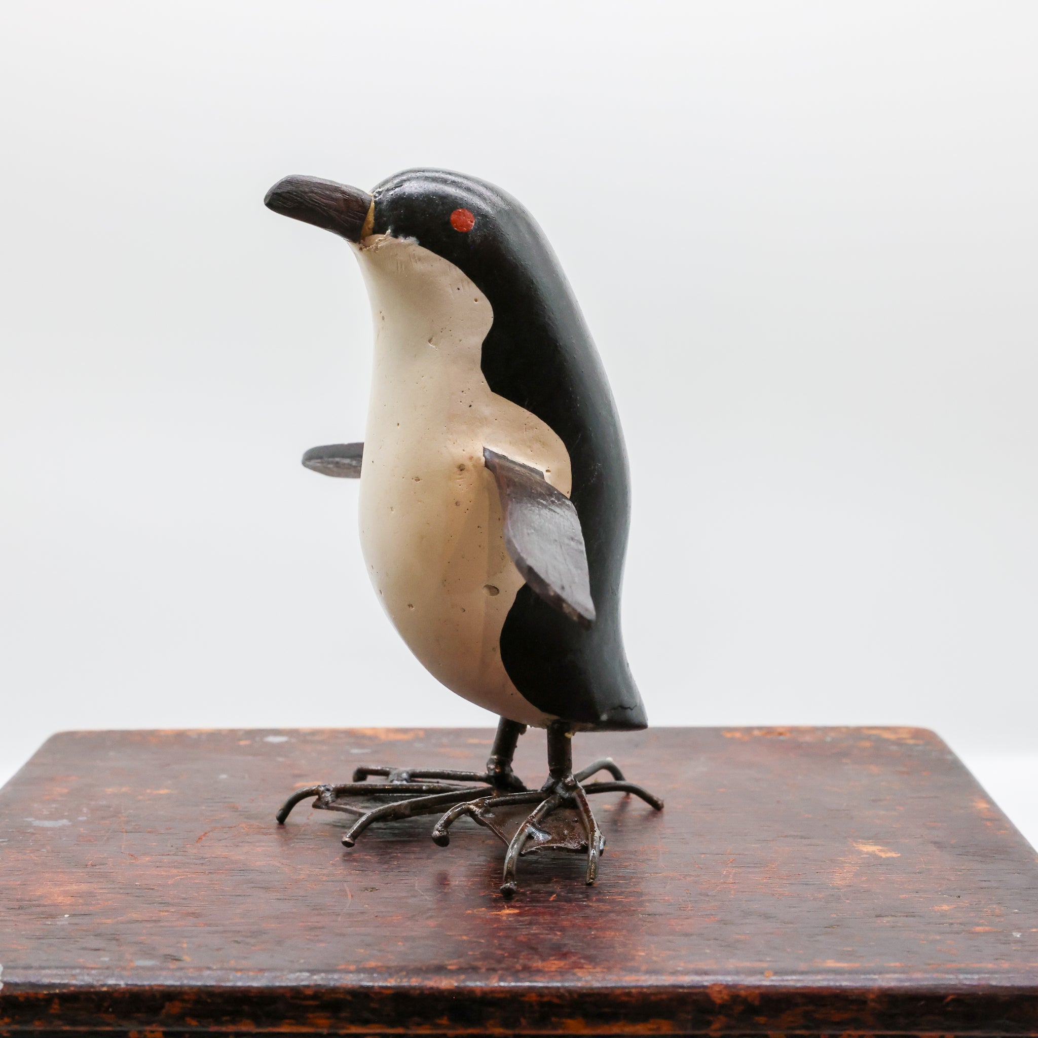 Kororā | Little Blue Penguin