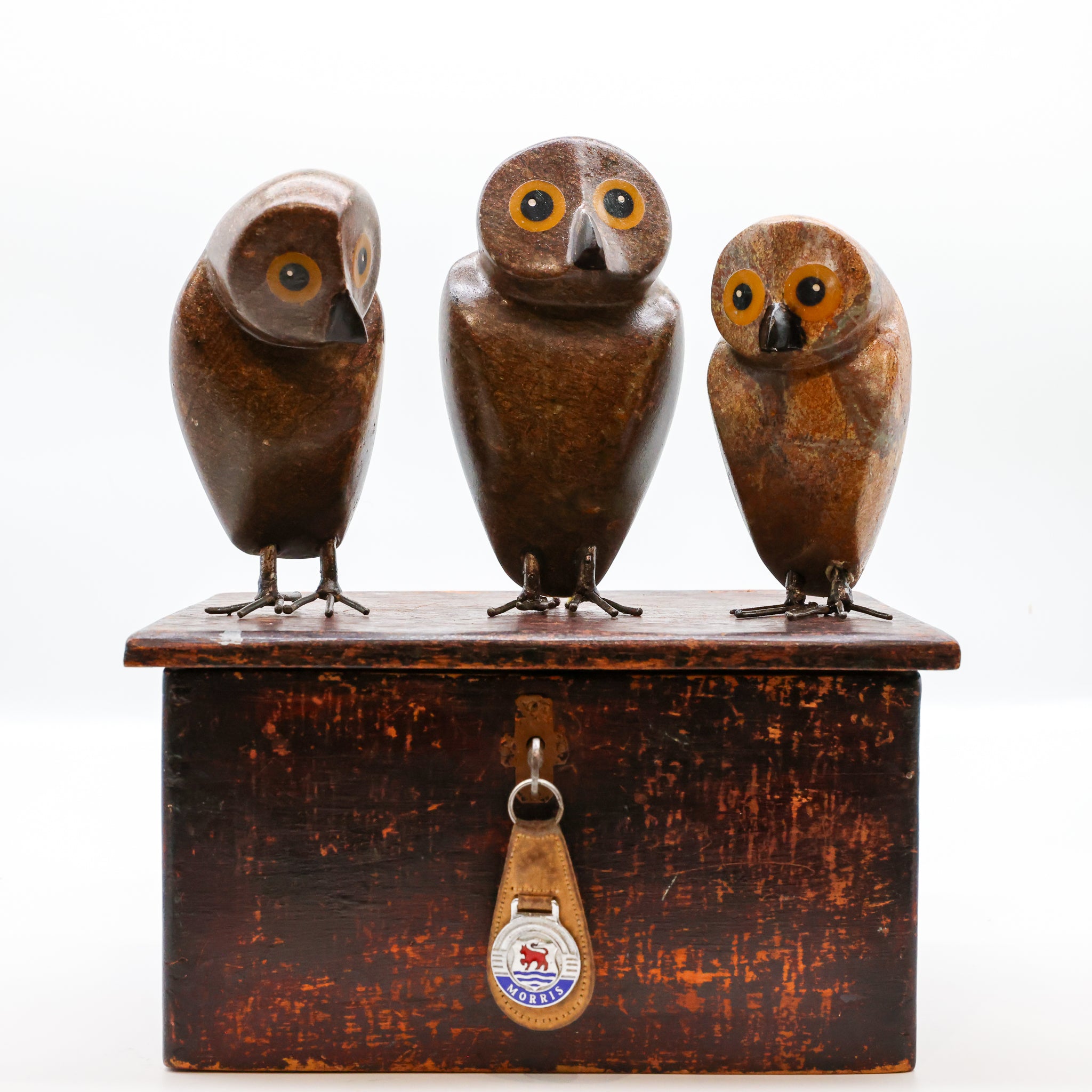 Ruru | Morepork