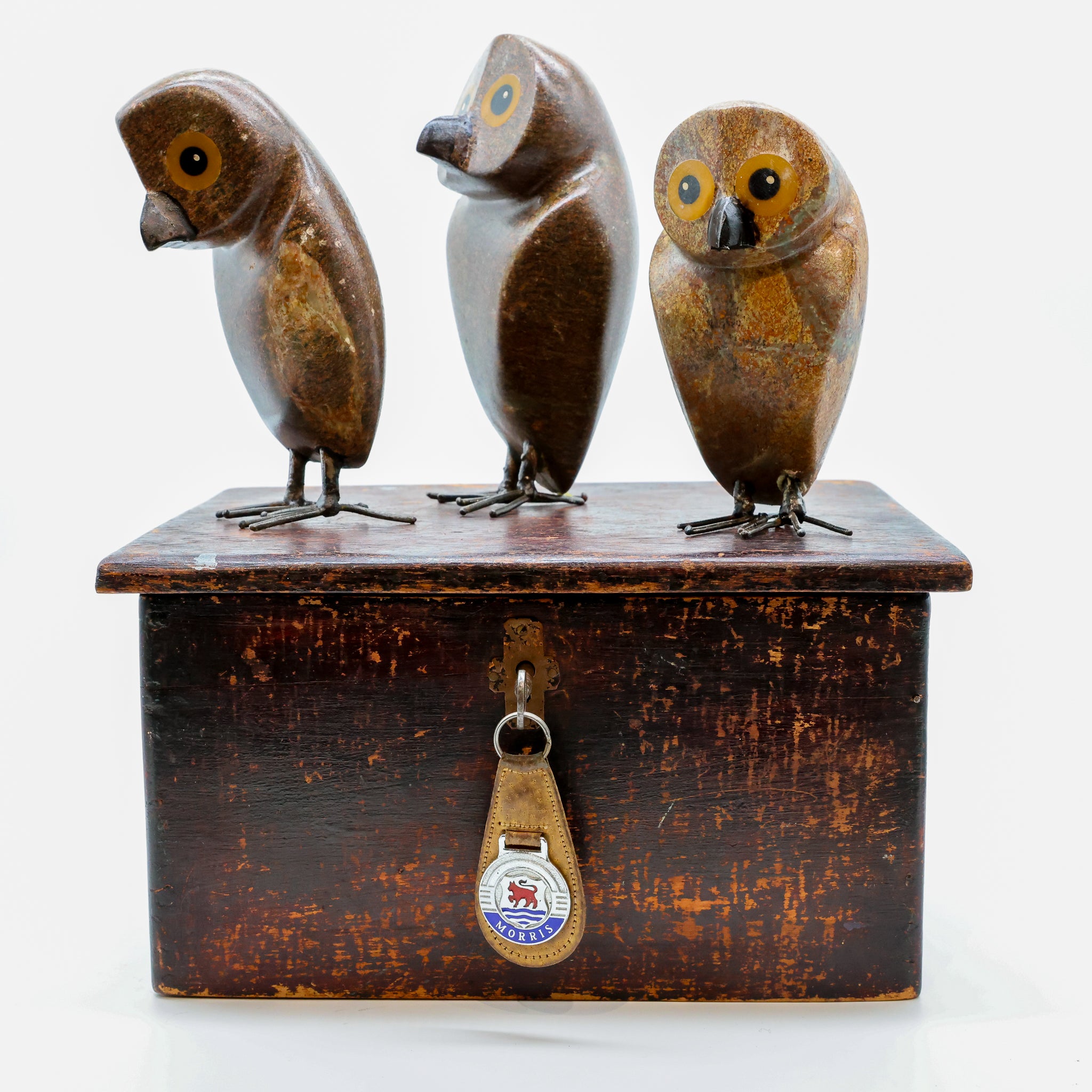 Ruru | Morepork