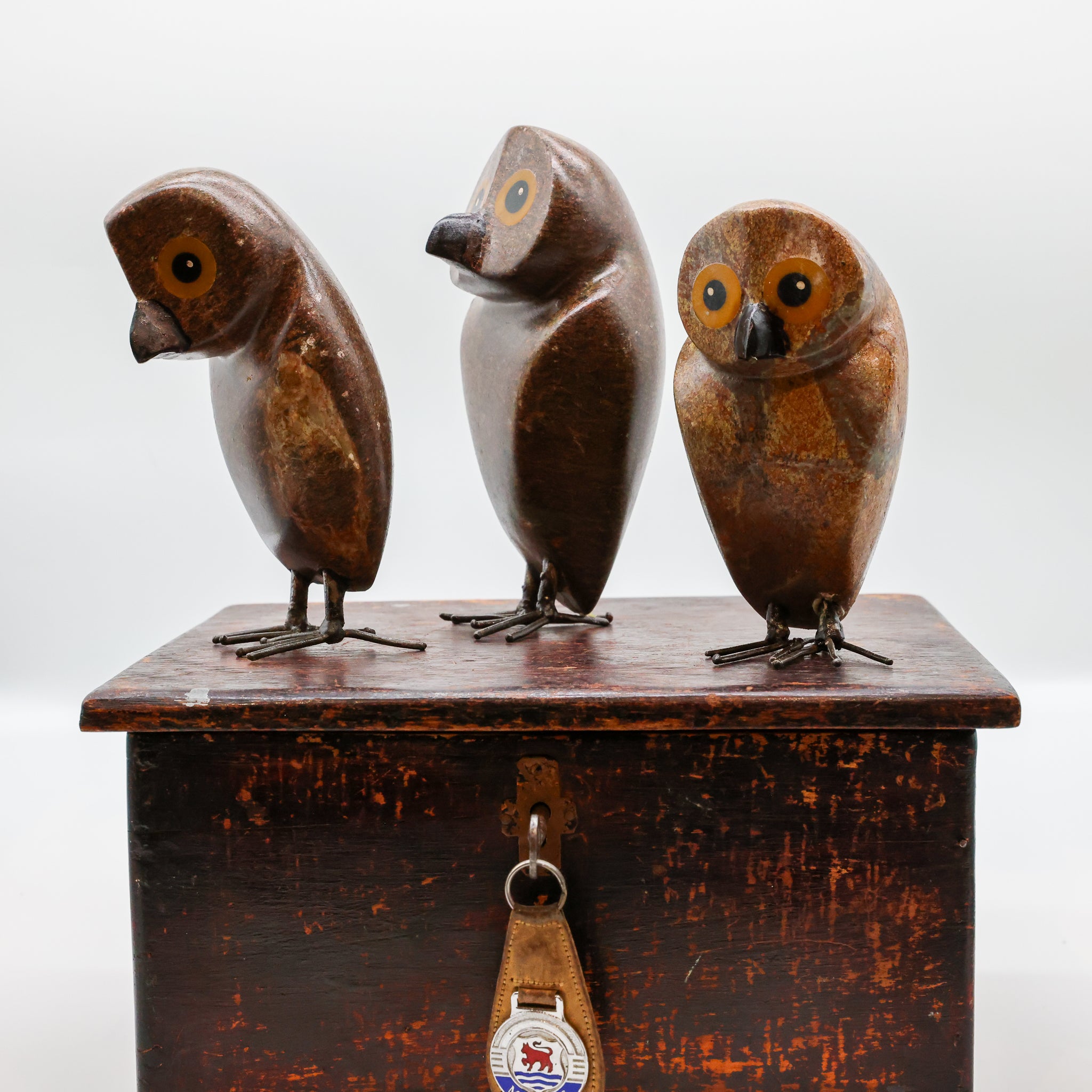 Ruru | Morepork