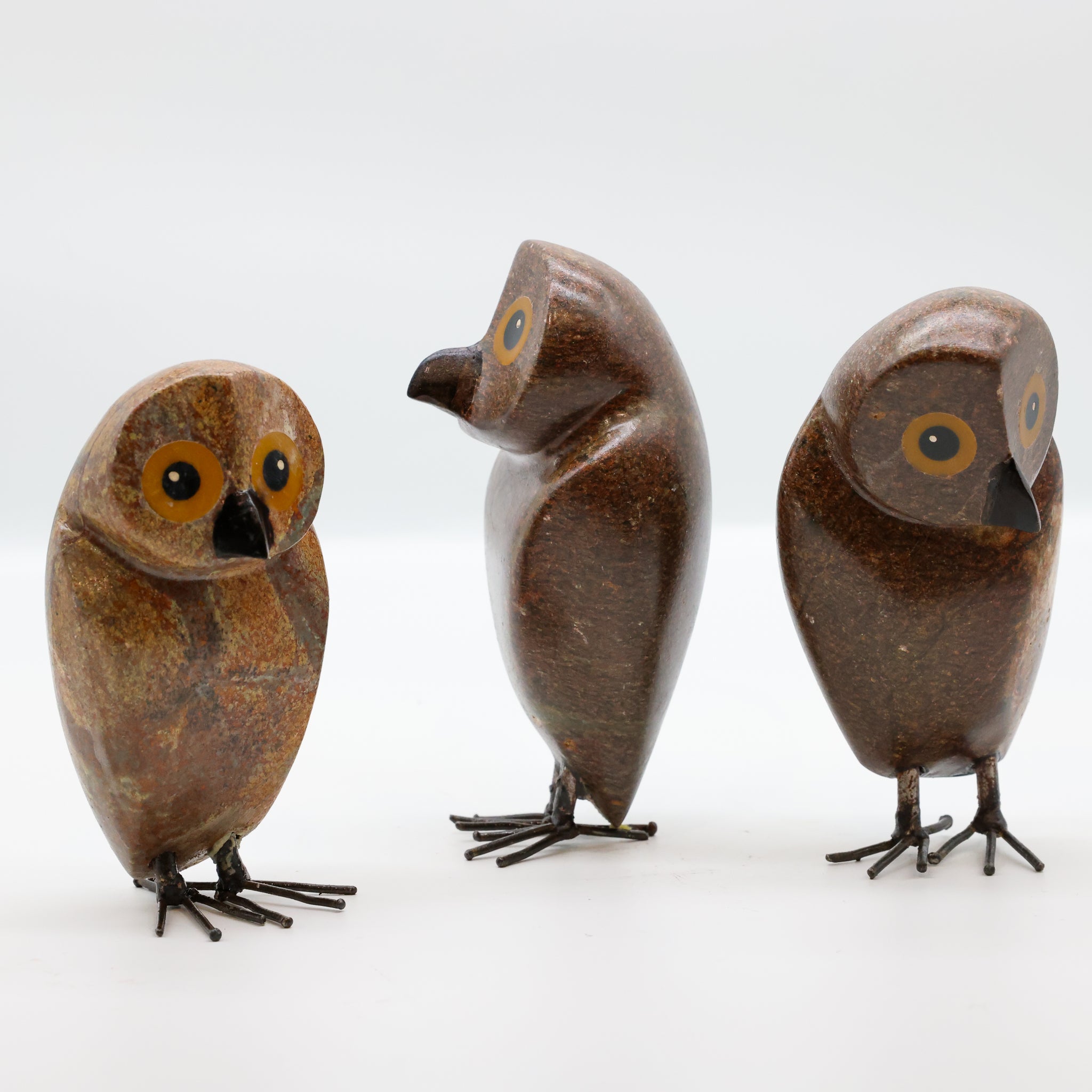 Ruru | Morepork
