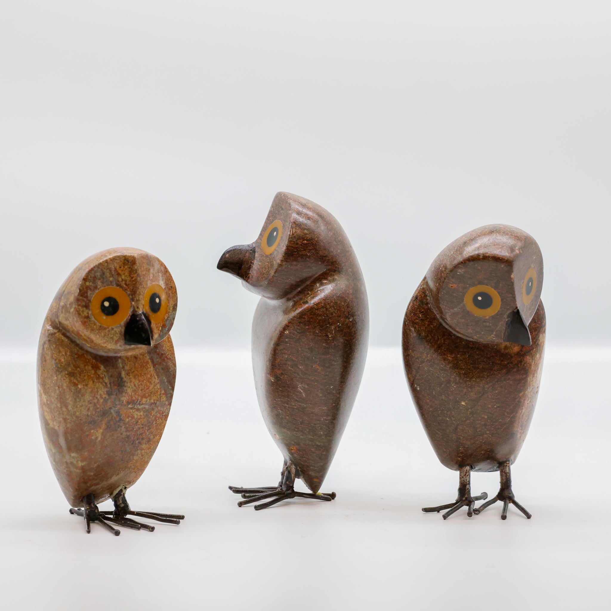 Ruru | Morepork