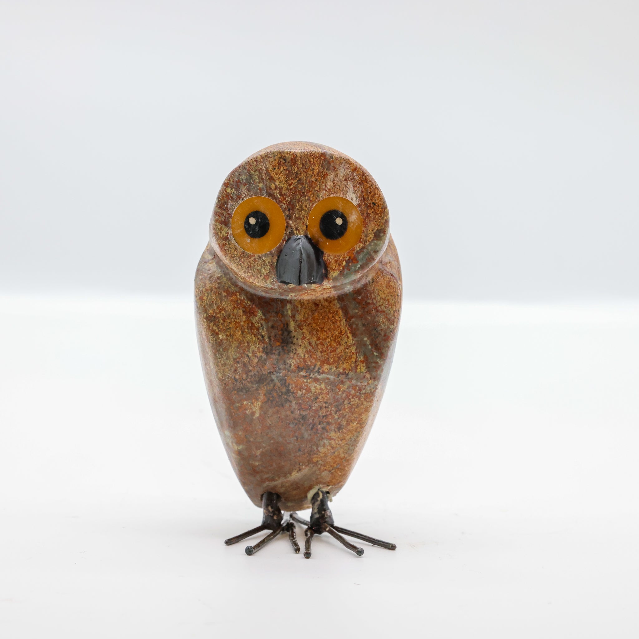 Ruru | Morepork