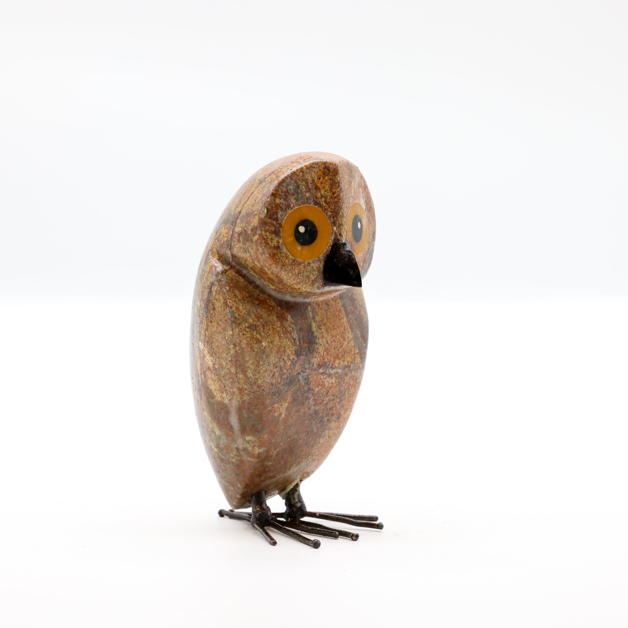 Ruru | Morepork