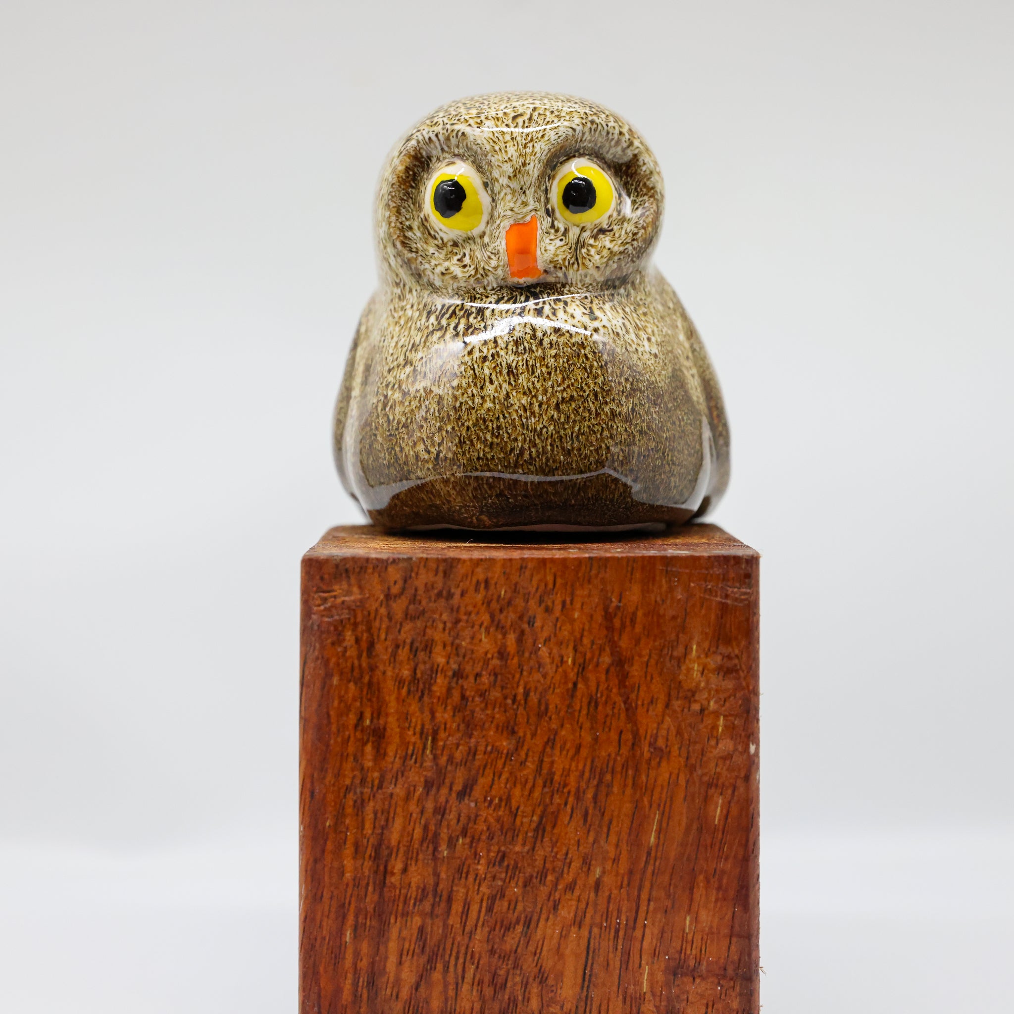Ruru | Morepork