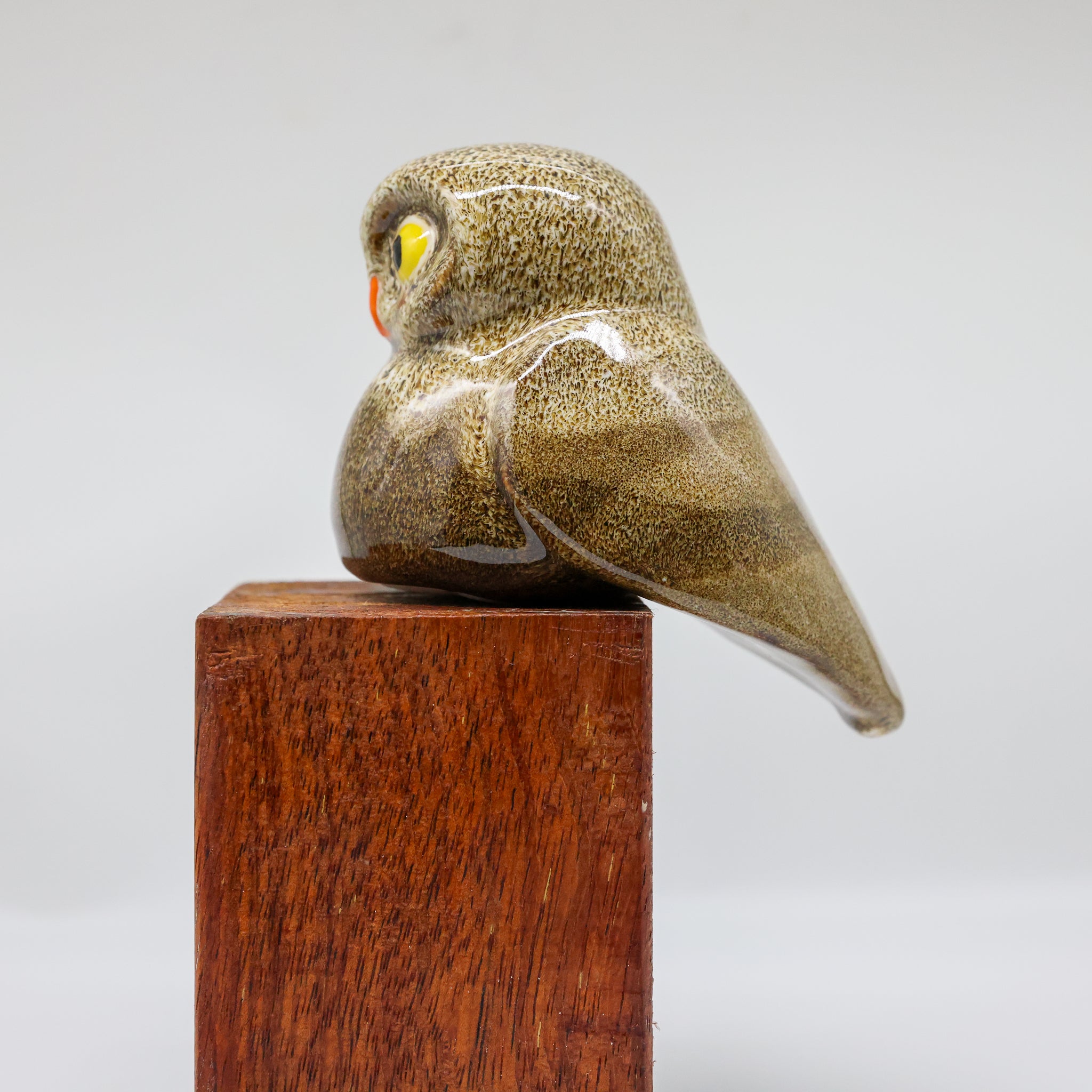 Ruru | Morepork