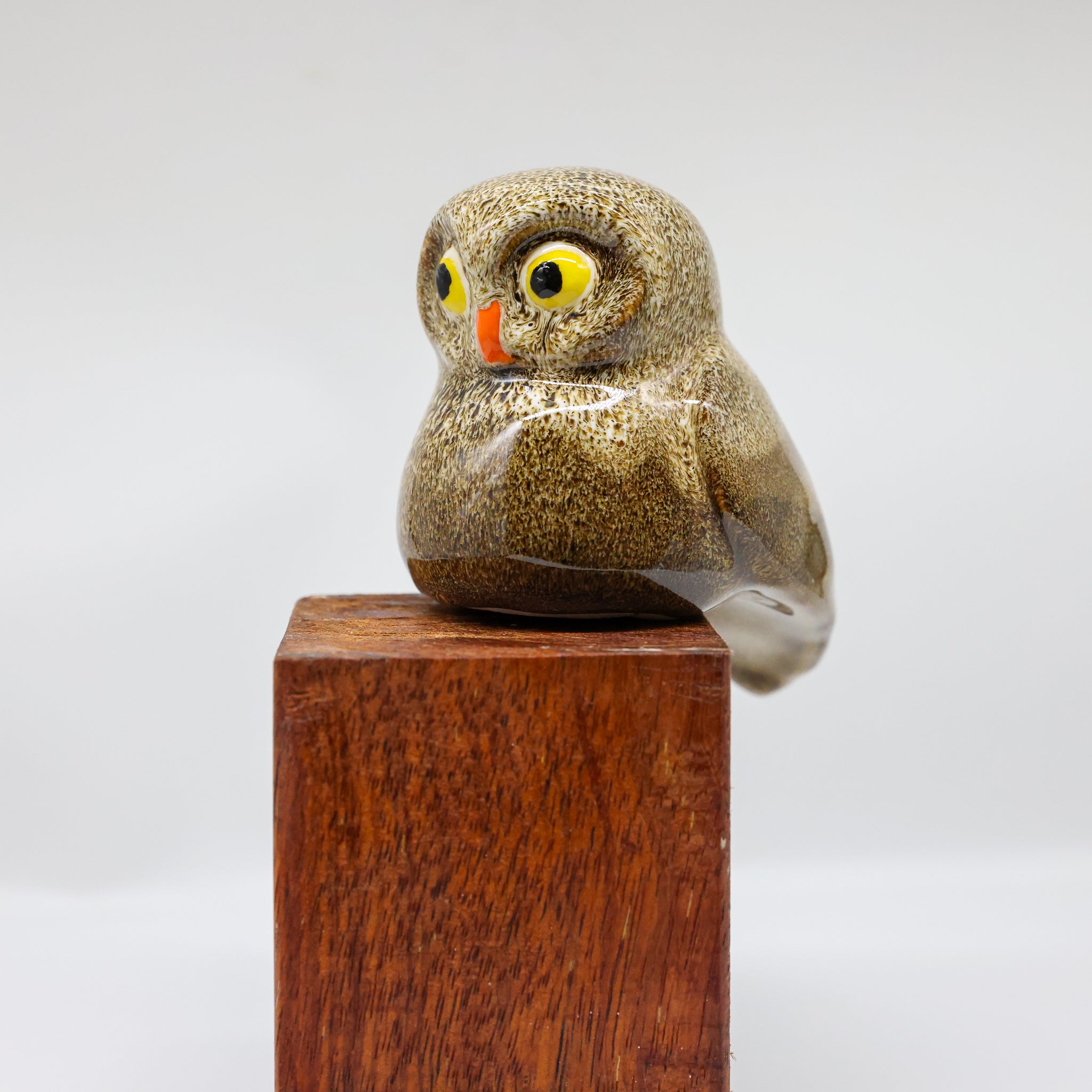 Ruru | Morepork