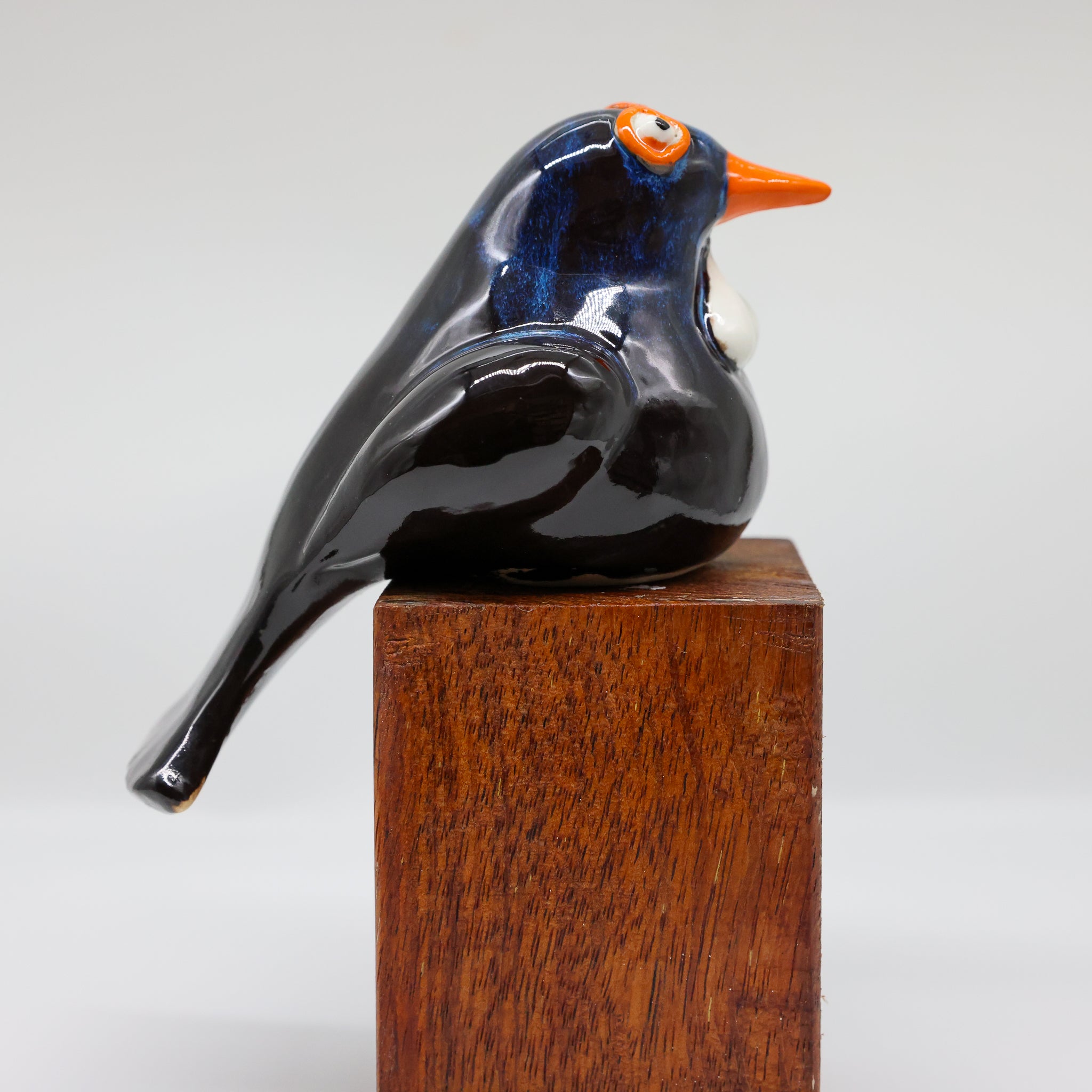 Tui