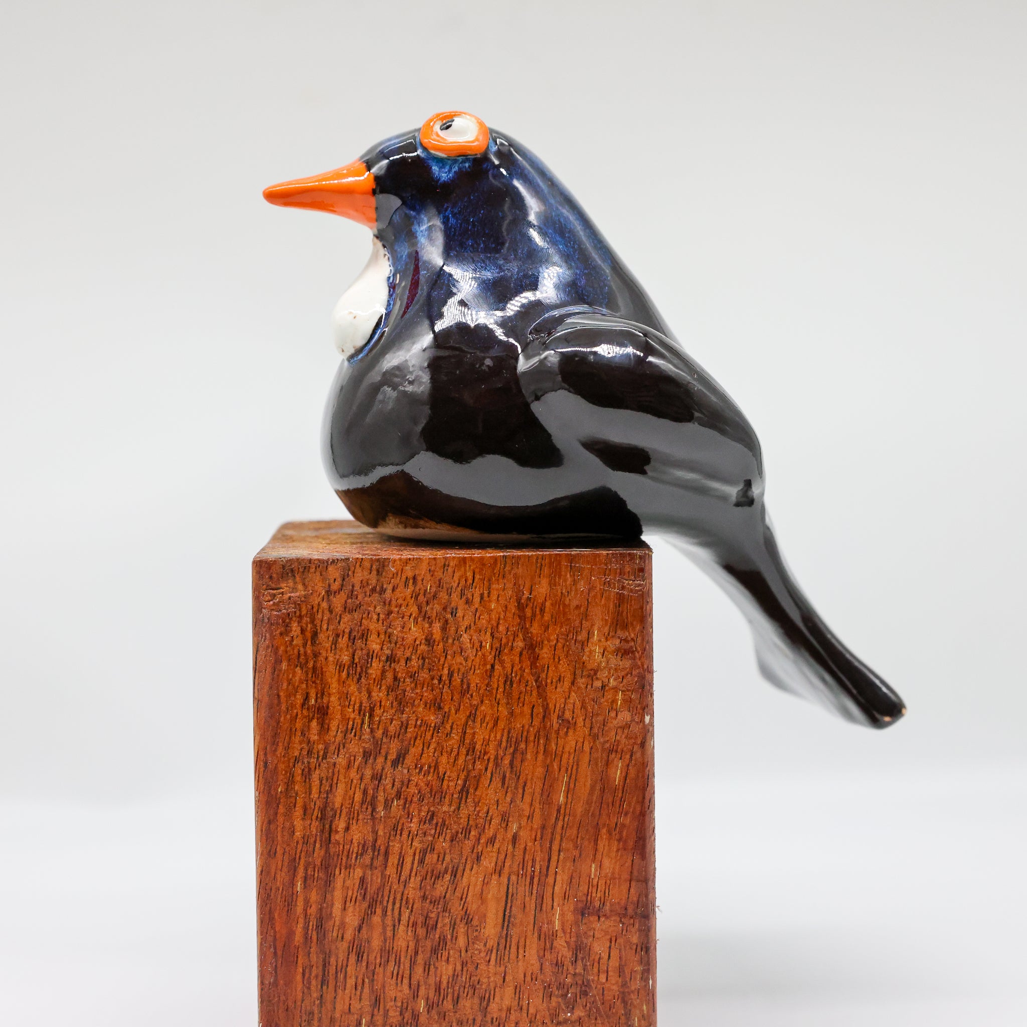 Tui