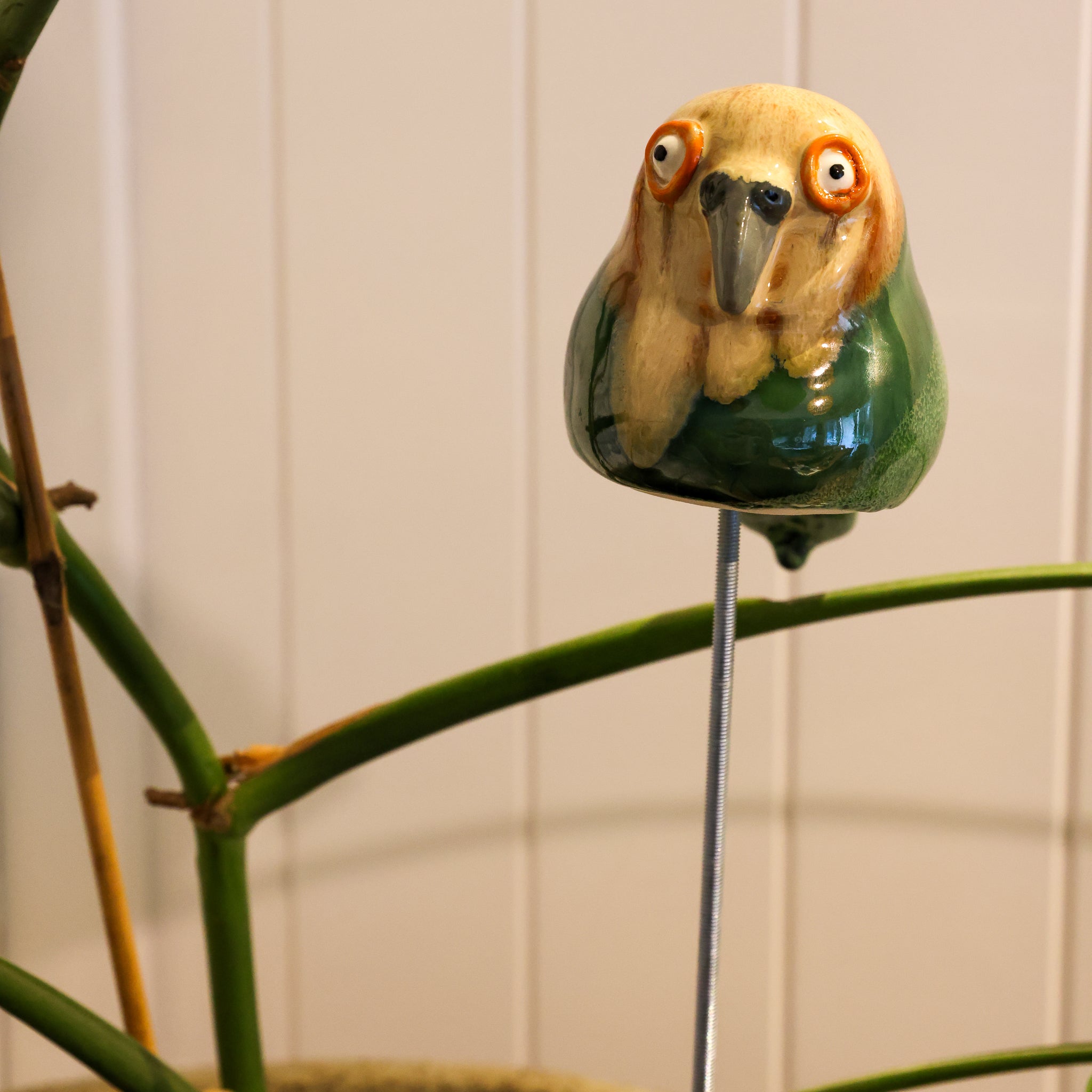 Kakapo