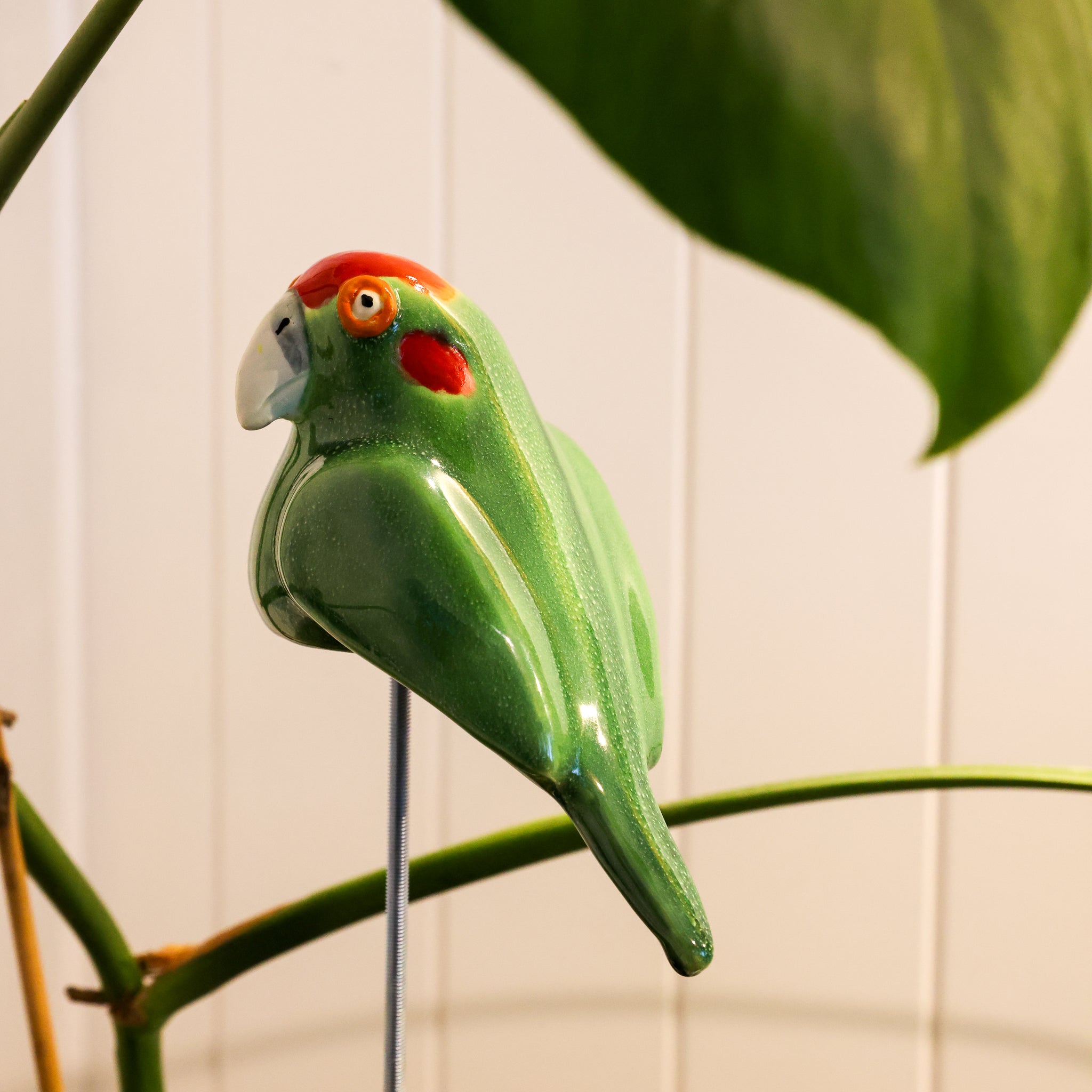 Kakariki