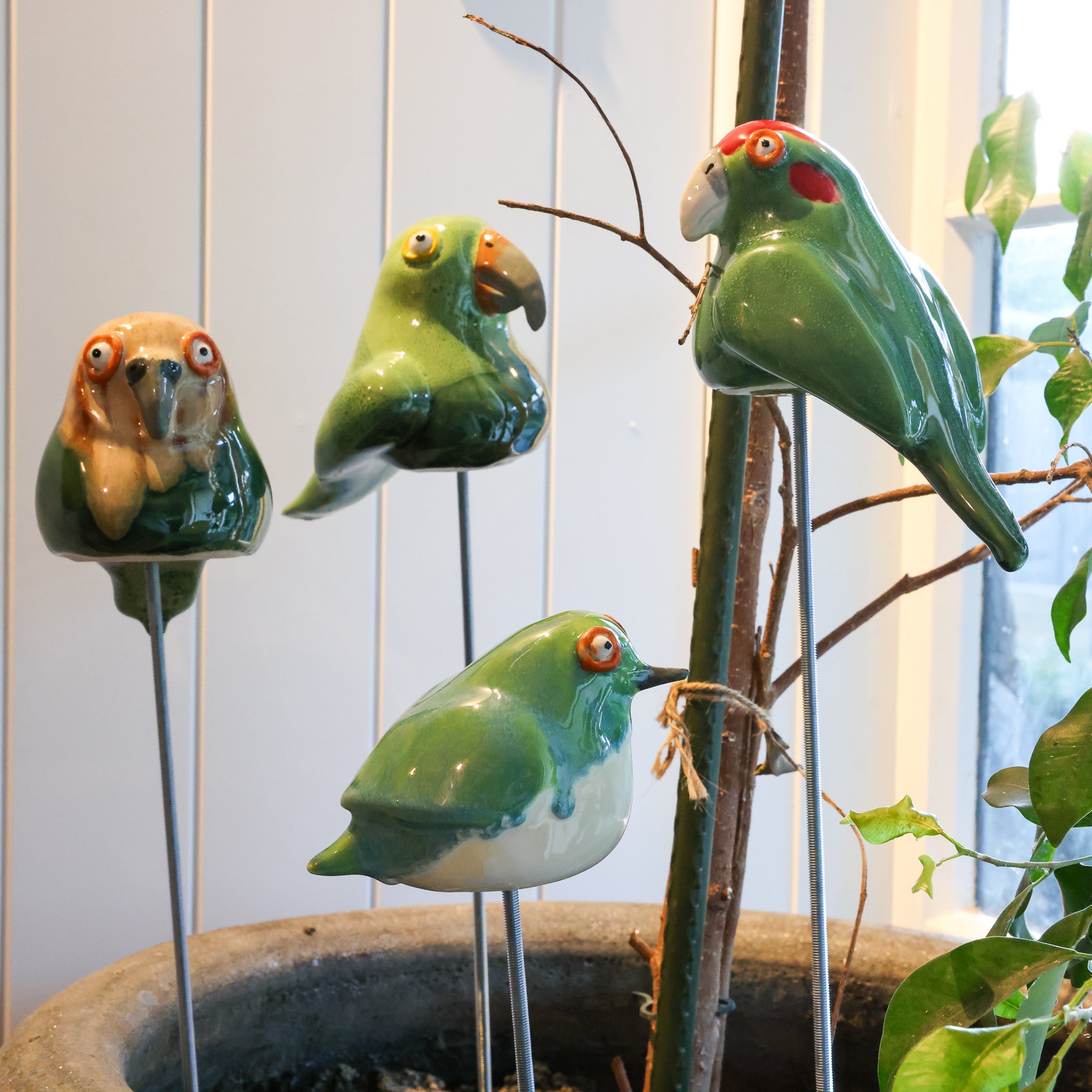 Kakapo