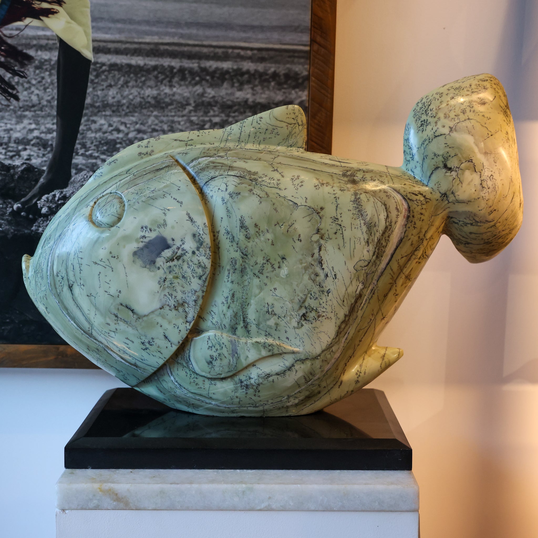 Butterjade Fish