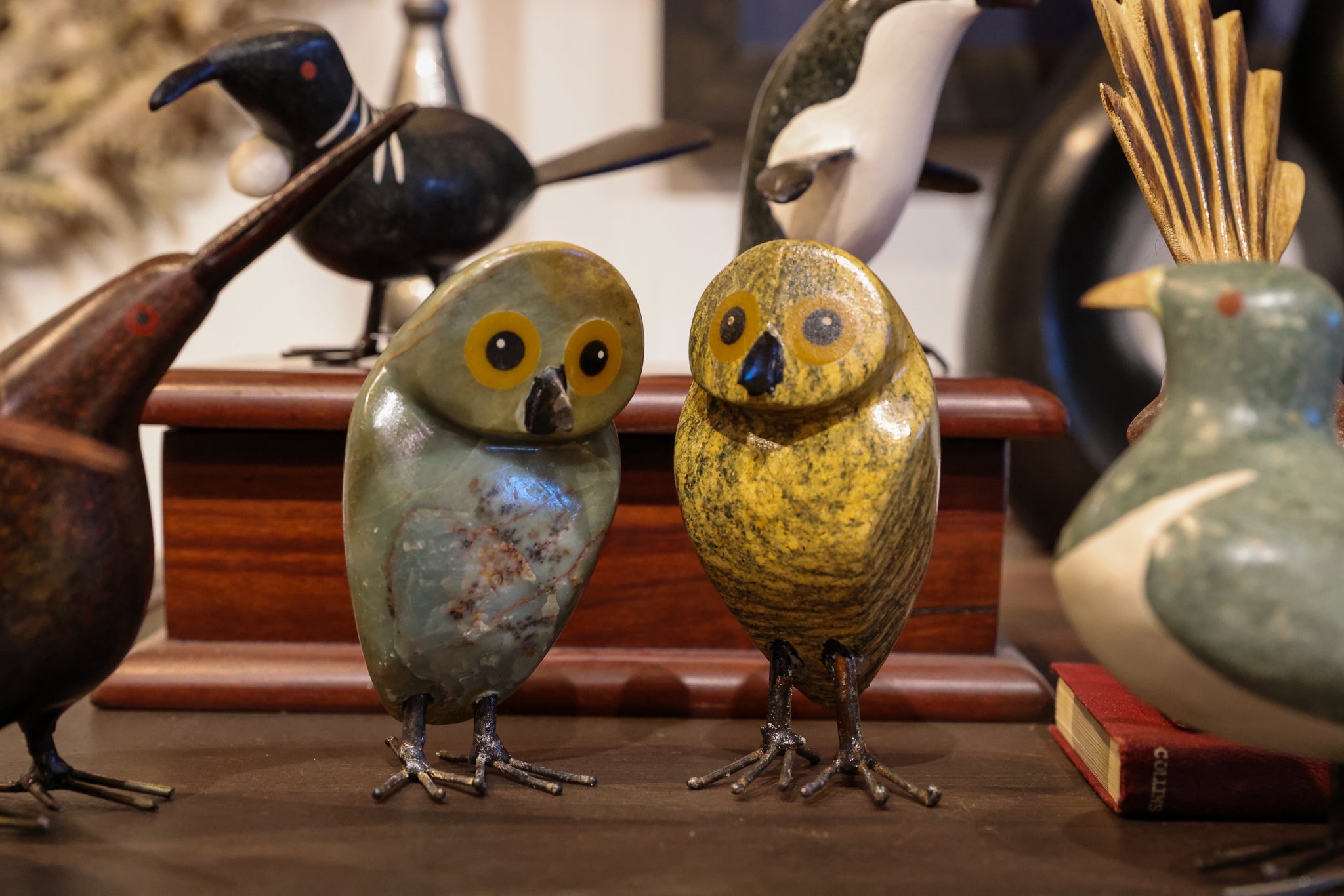 Ruru | Morepork