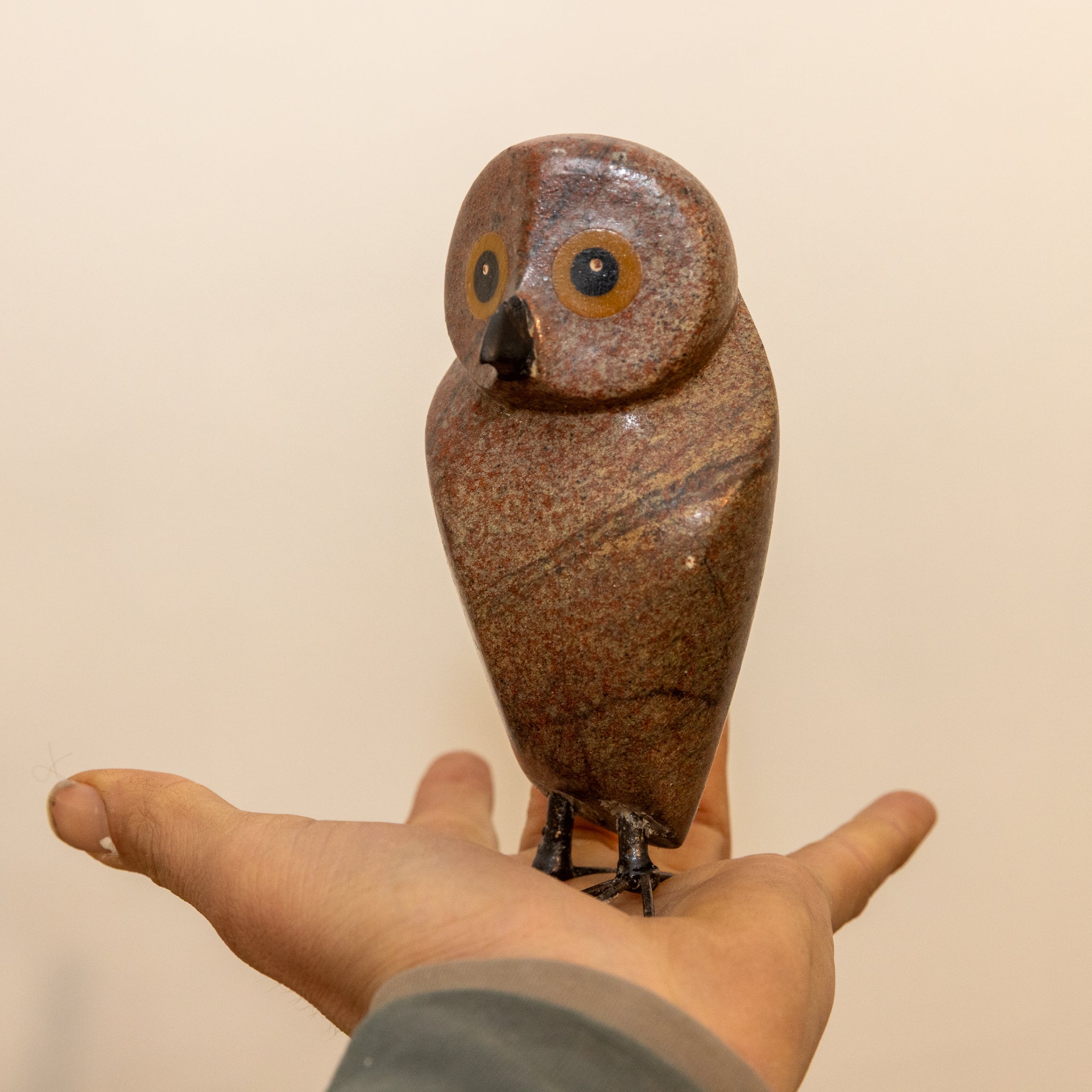 Ruru | Morepork