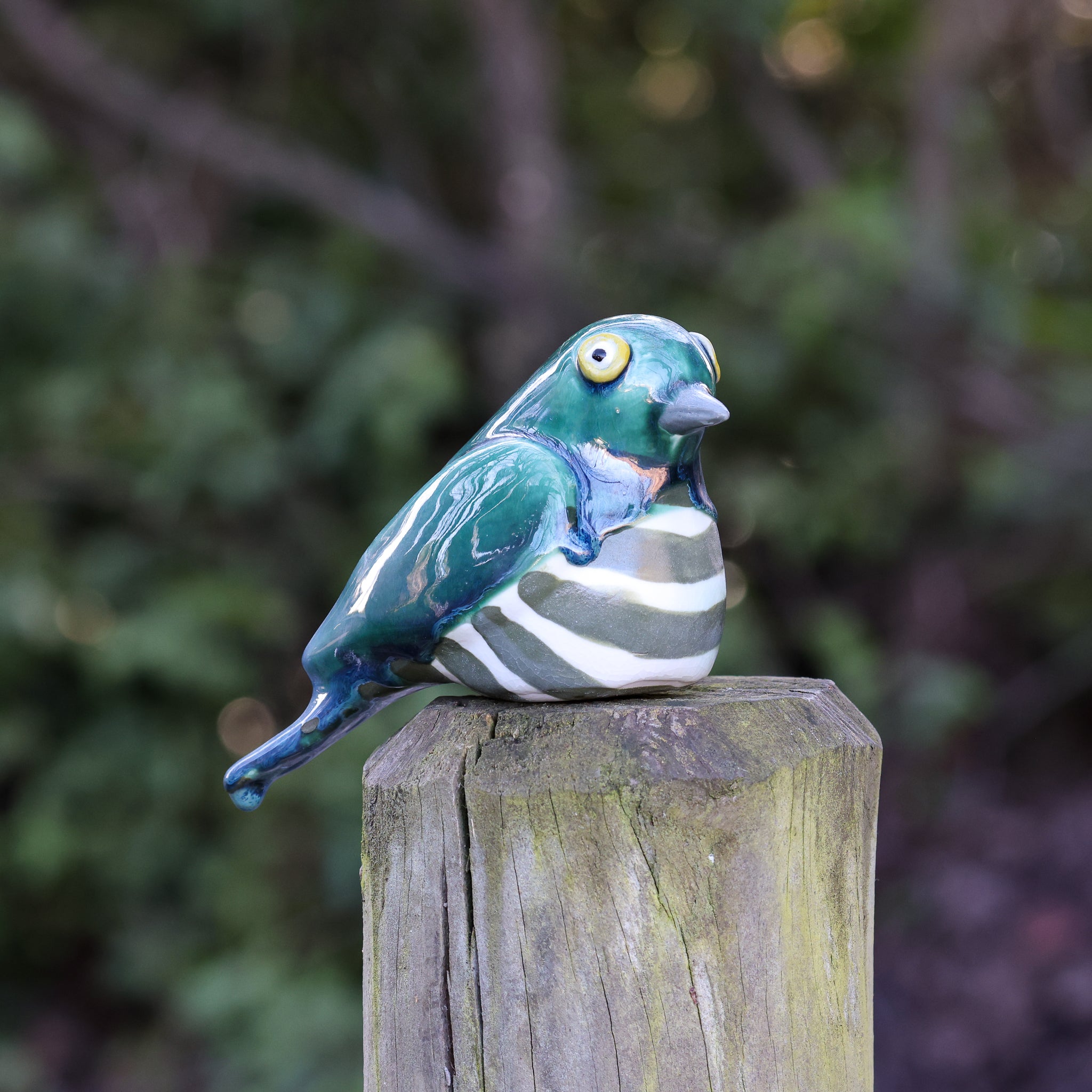 Pīpīwharauroa | Shining Cuckoo