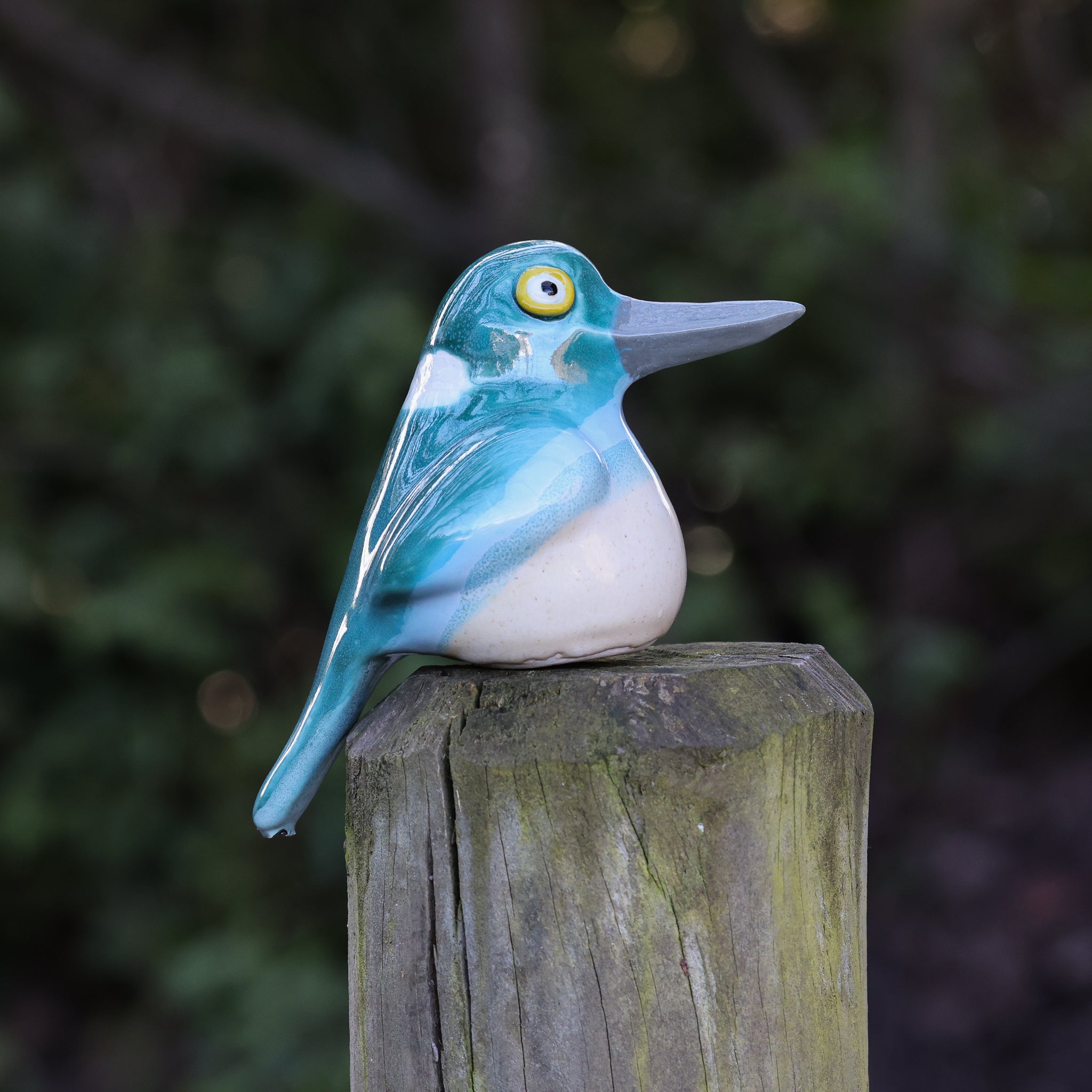 Kōtare | Kingfisher