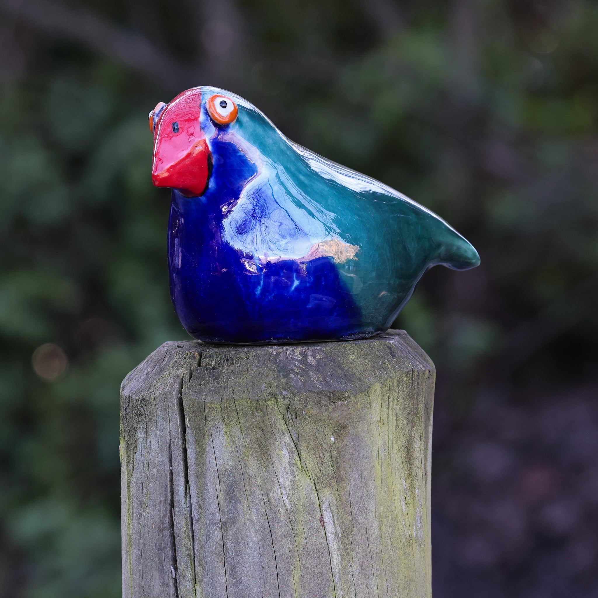 Takahe
