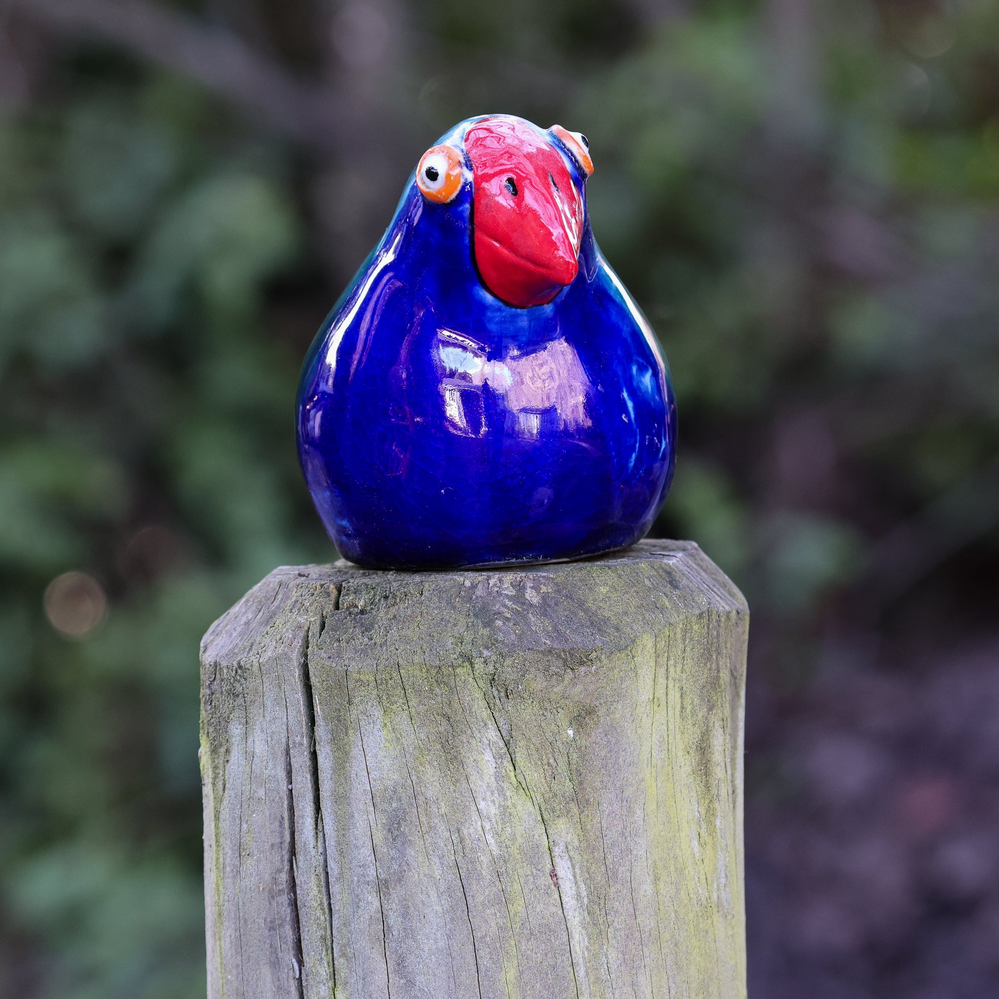 Takahe