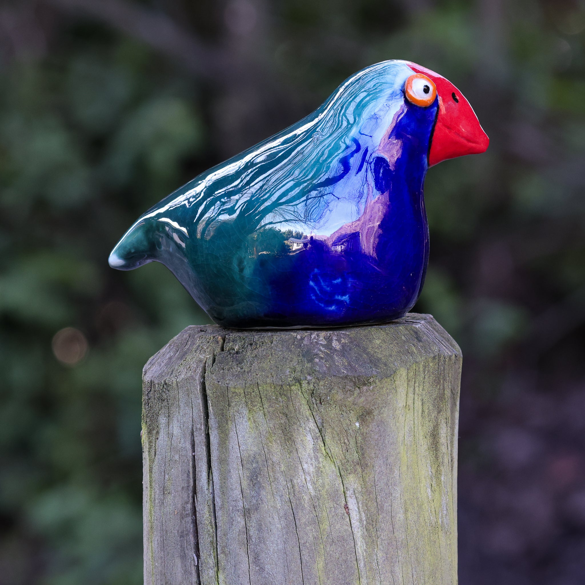Takahe