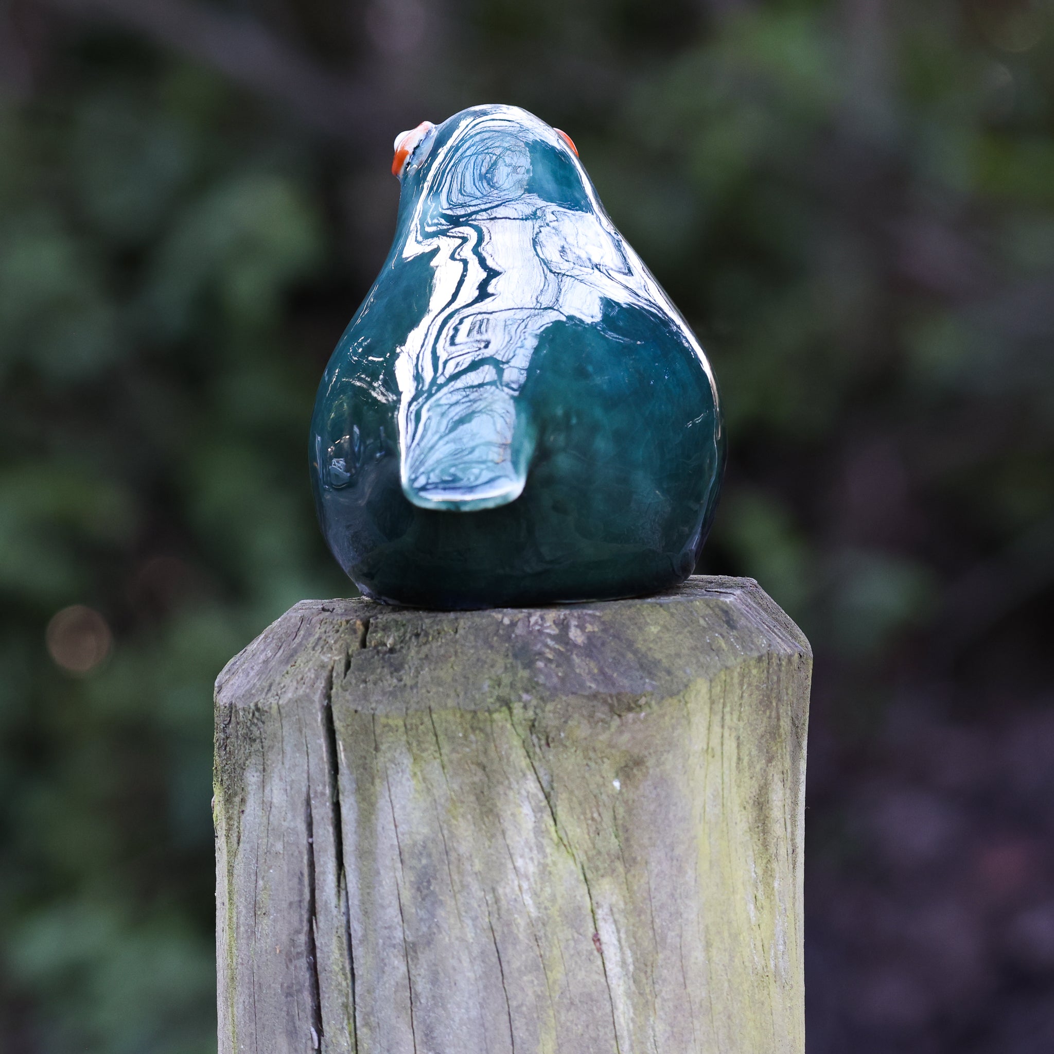 Takahe