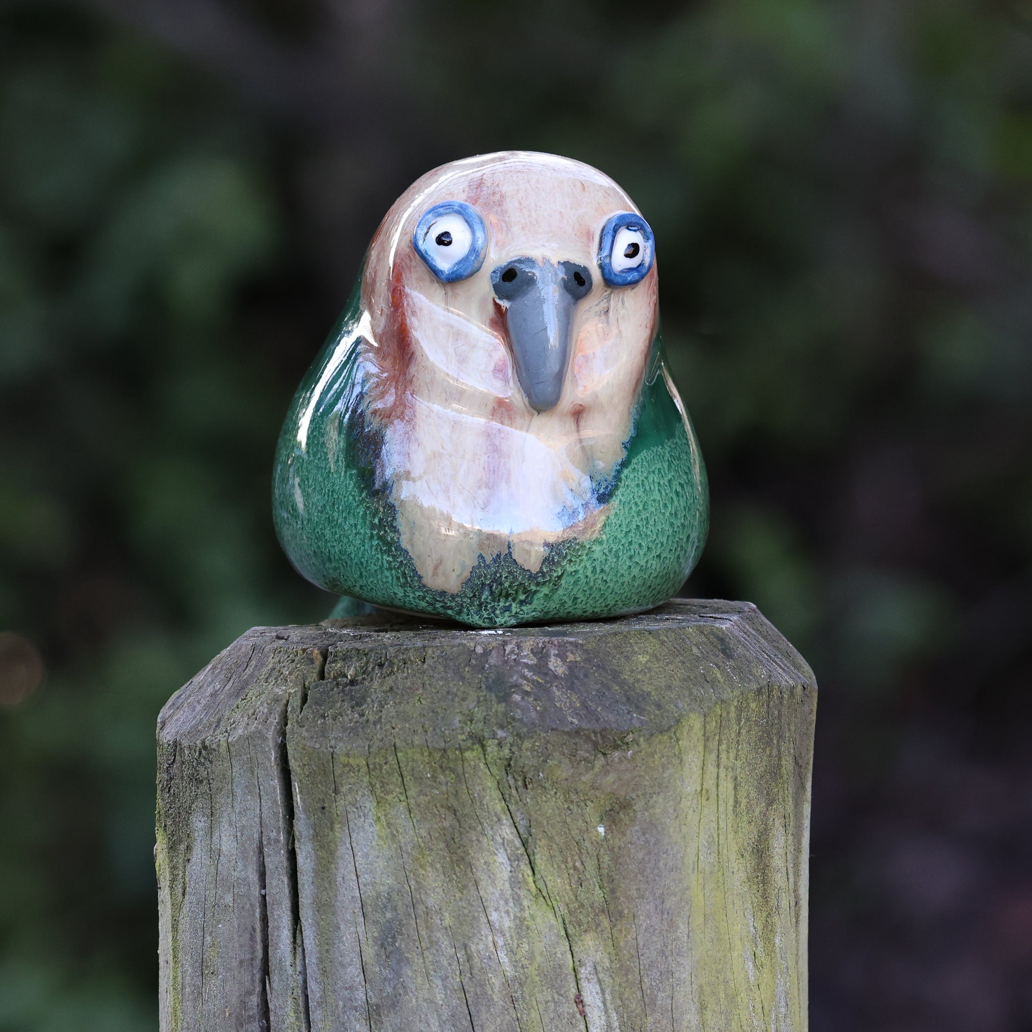 Kakapo