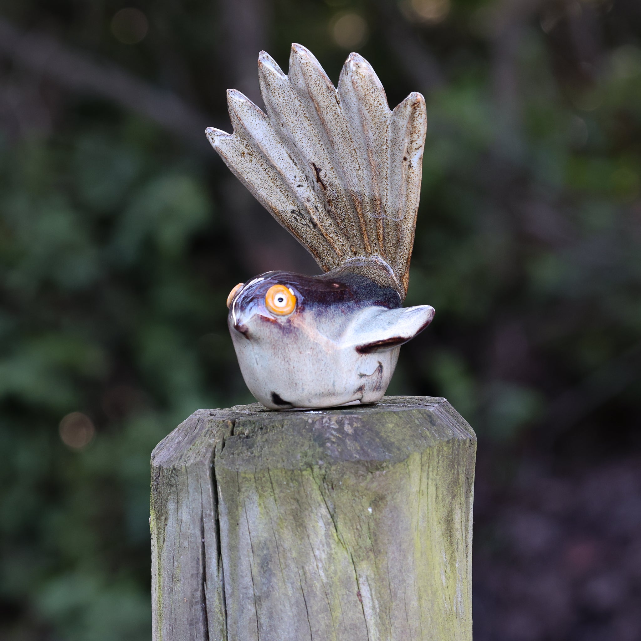 Pīwakawaka | Fantail