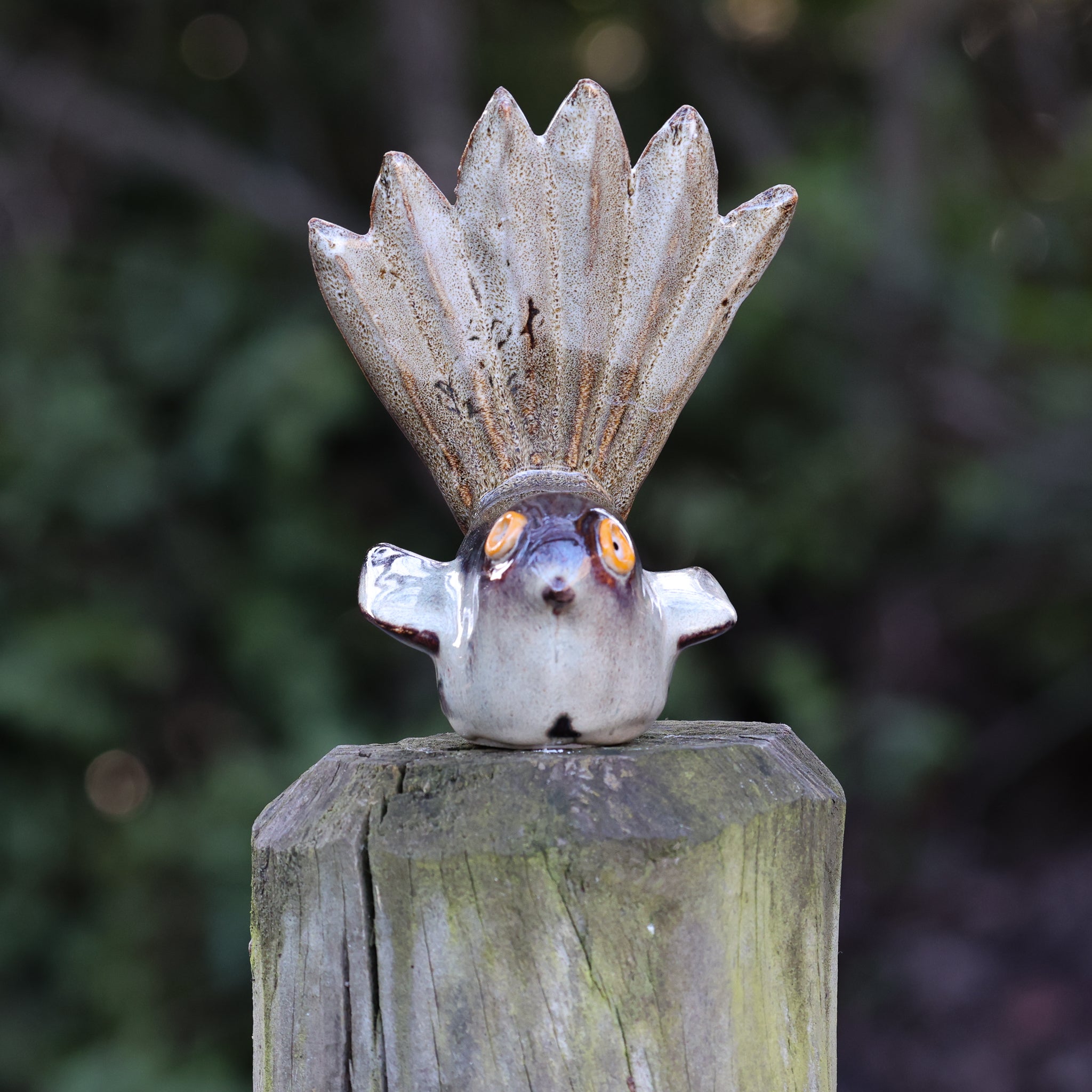 Pīwakawaka | Fantail