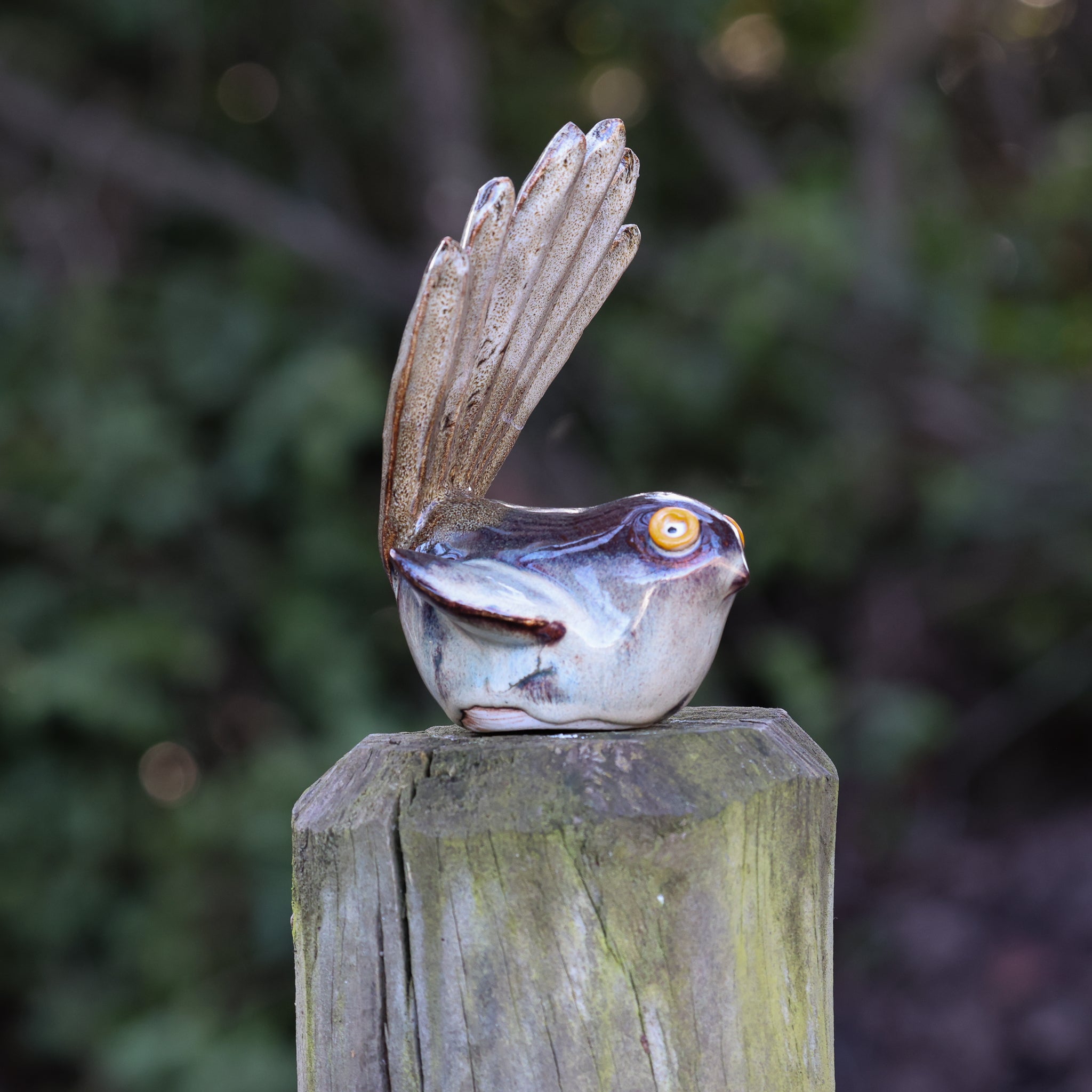 Pīwakawaka | Fantail